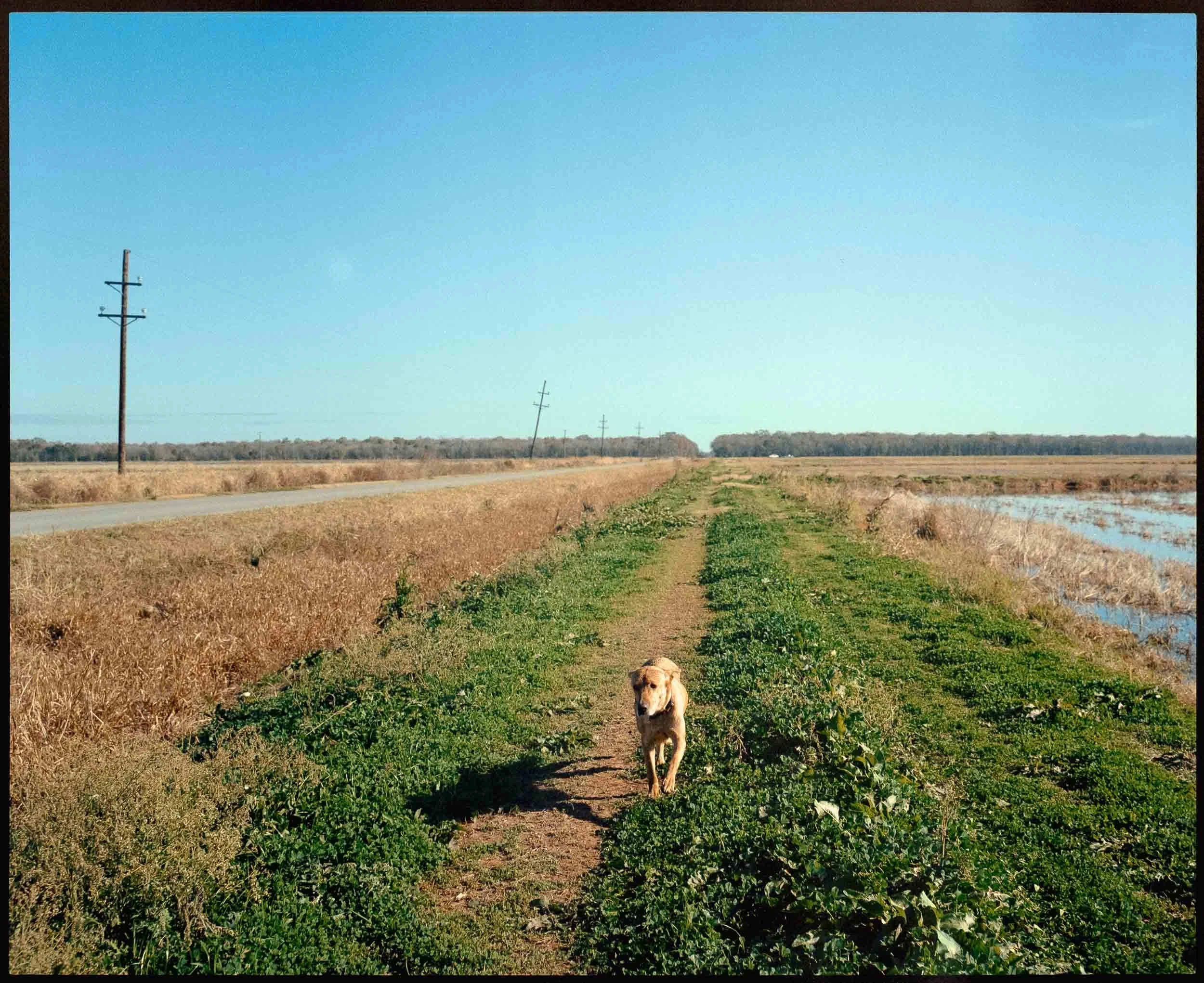 medium format-film-photography-louisiana-duck-hunting-1.jpg