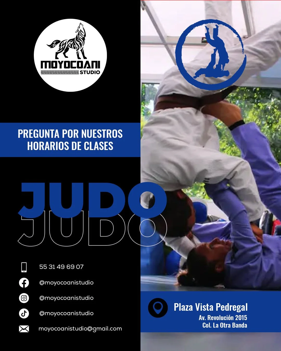 Publicidad de clases de judo de Moyocoani Studio en Plaza Vista Pedregal, con judocas entrenando, horarios, teléfono y redes sociales.