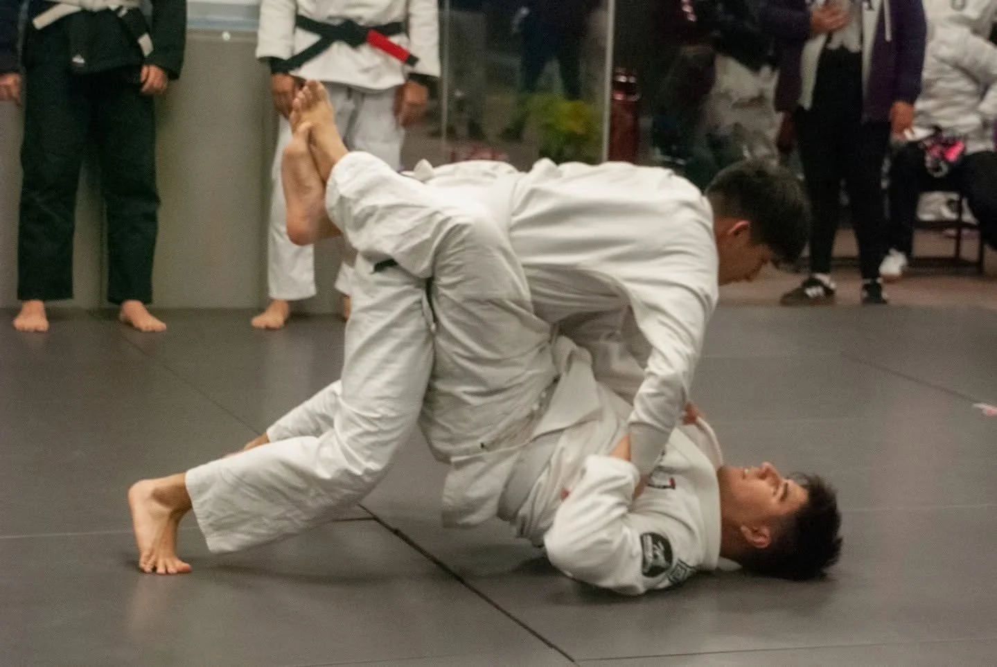 Dos practicantes de judo con uniformes blancos realizan una técnica de lucha en el tatami mientras otros observan.