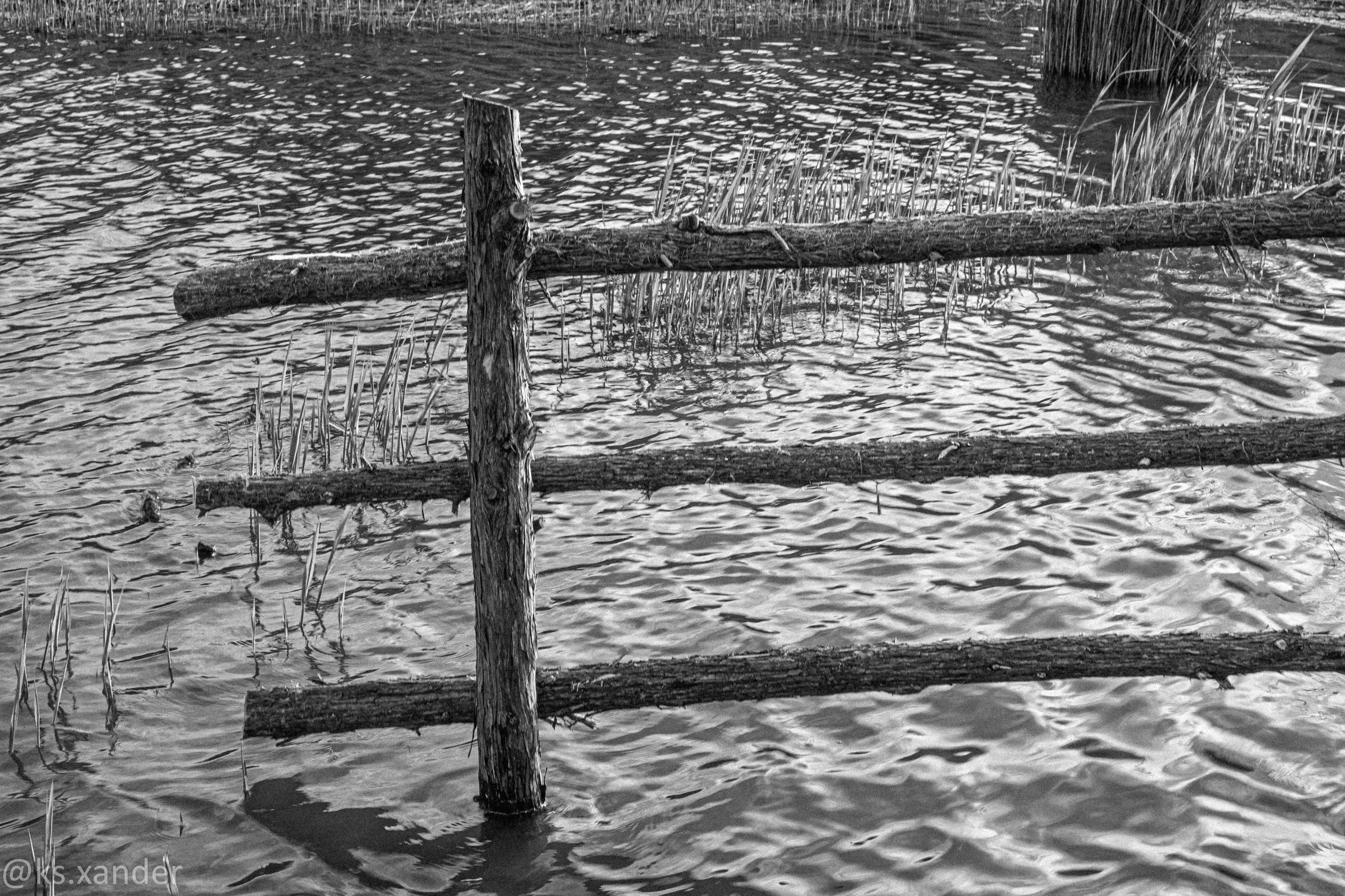 fence in pond