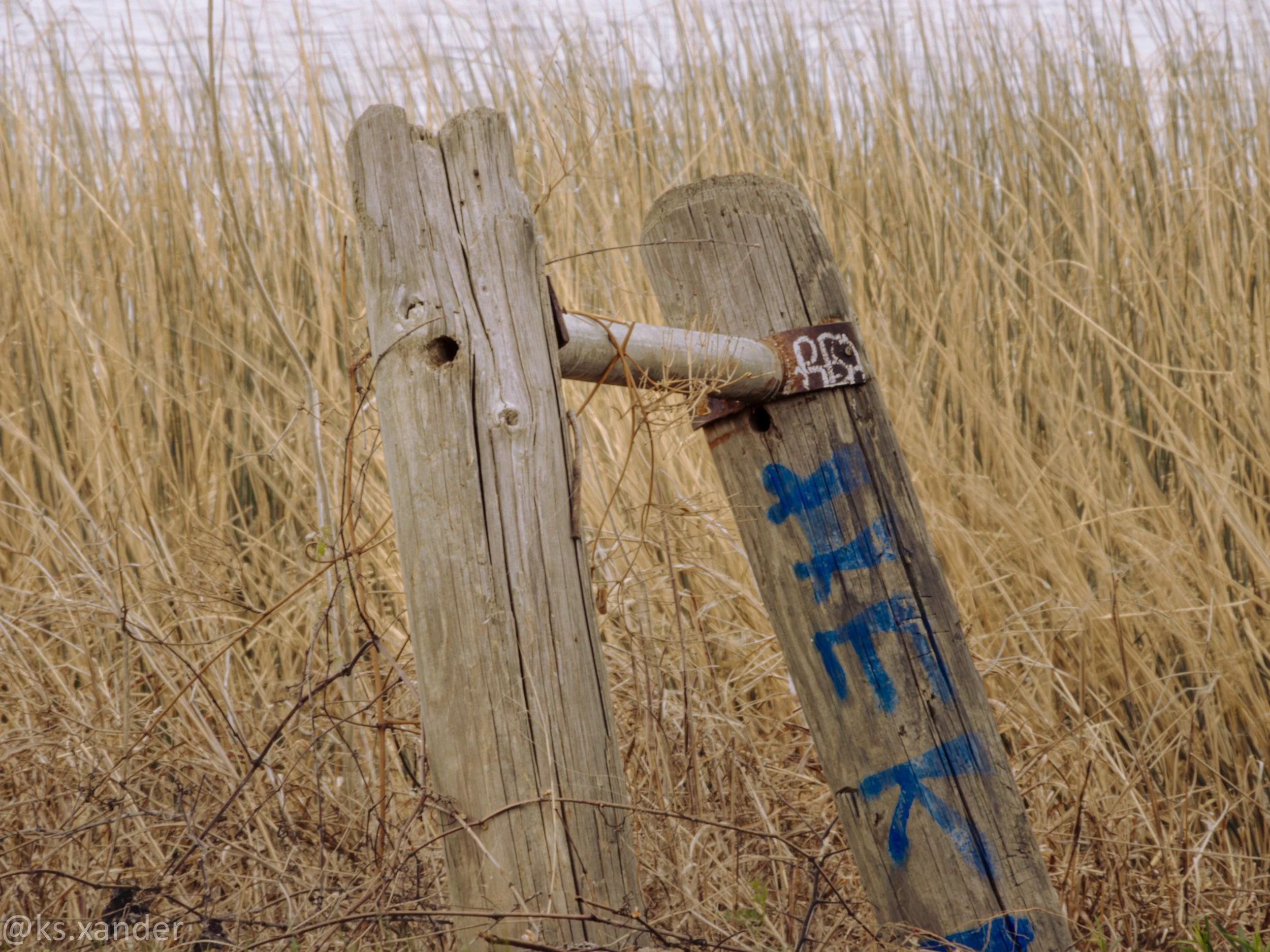 Site
