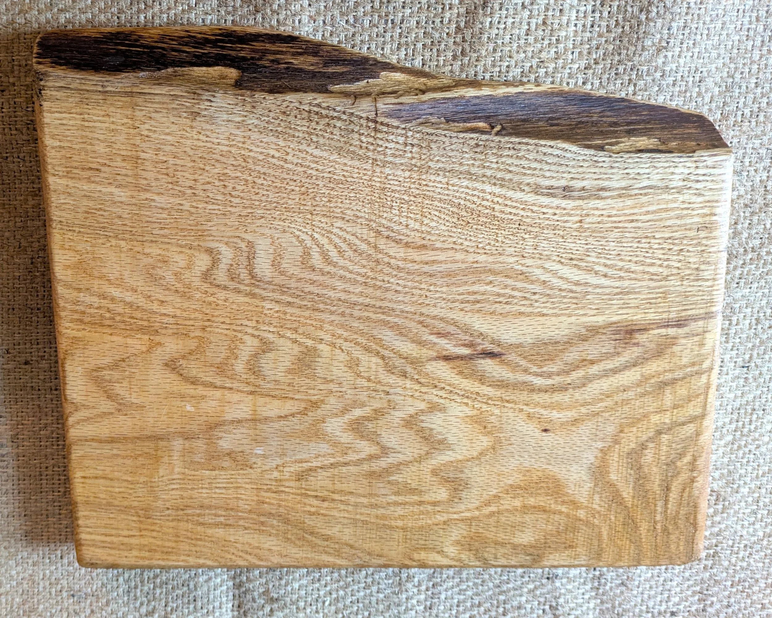 PXL_20260920_155627372.jpg
