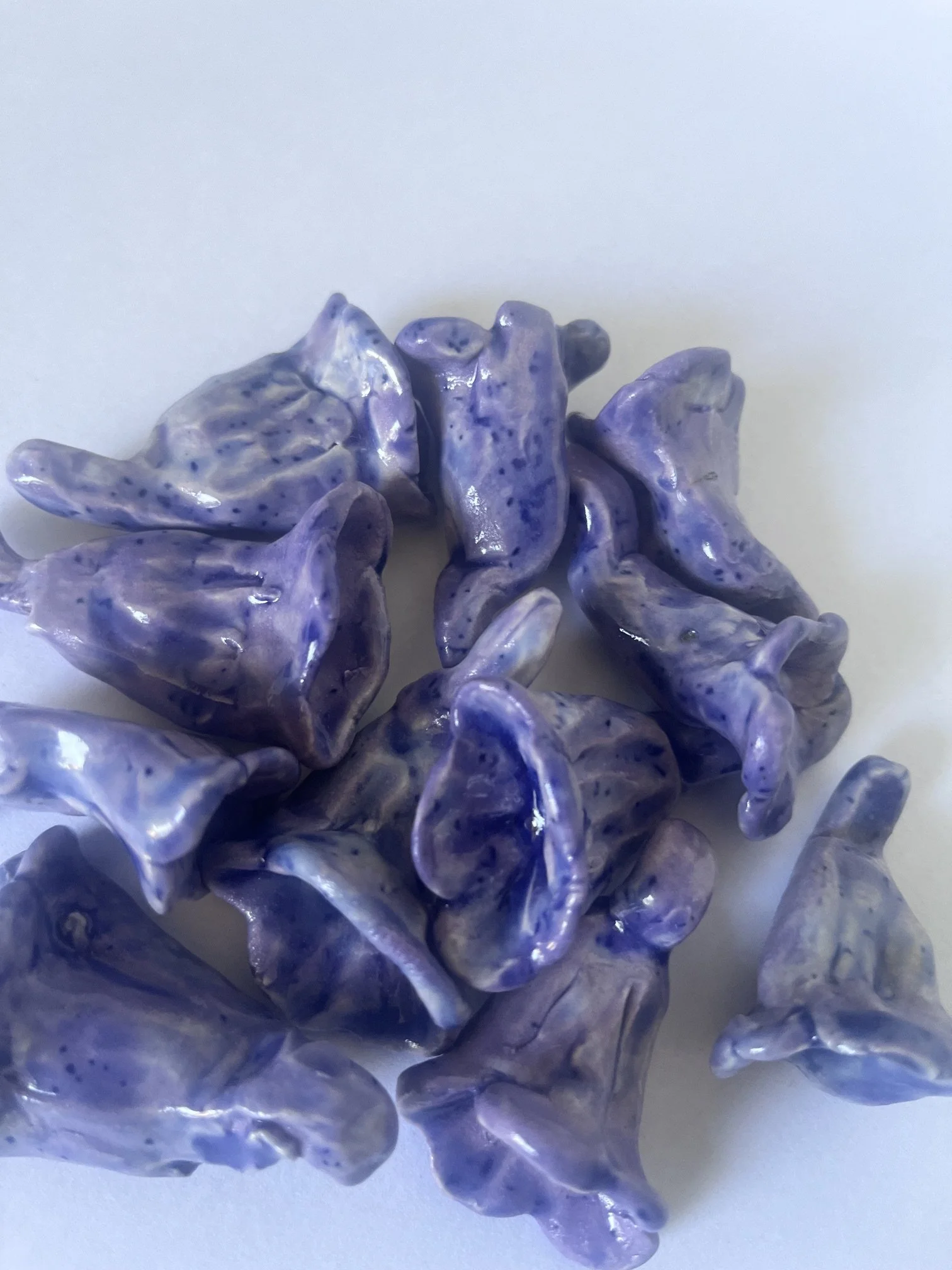 Bundle of jacaranda flowers