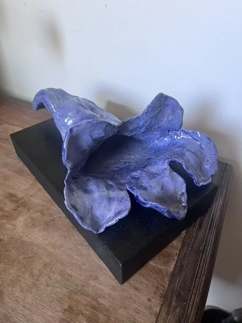 Fallen Jacaranda II