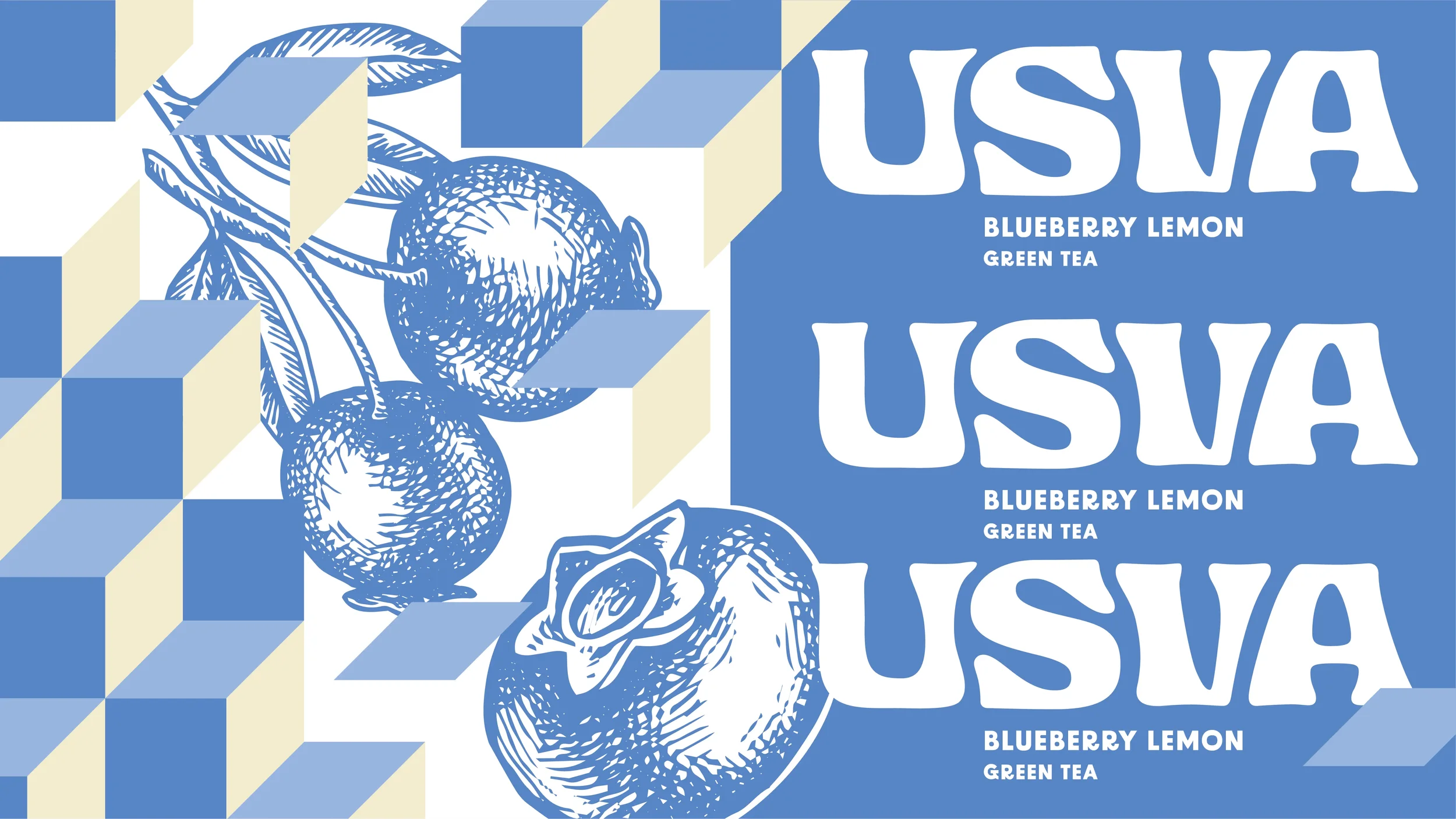 Usva Presentation-04.webp