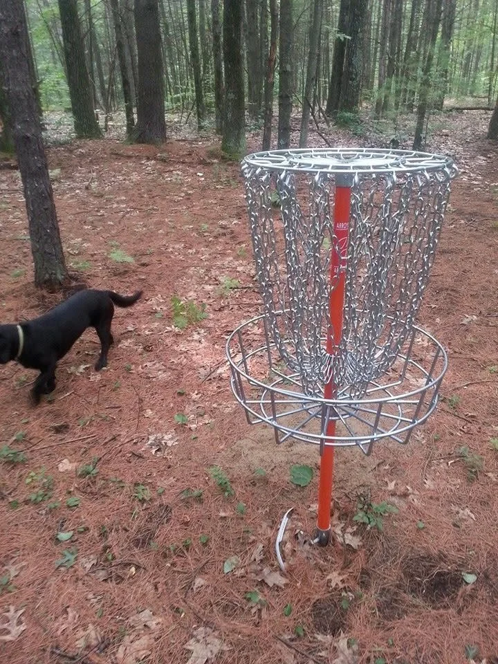 disc golf basket.jpg