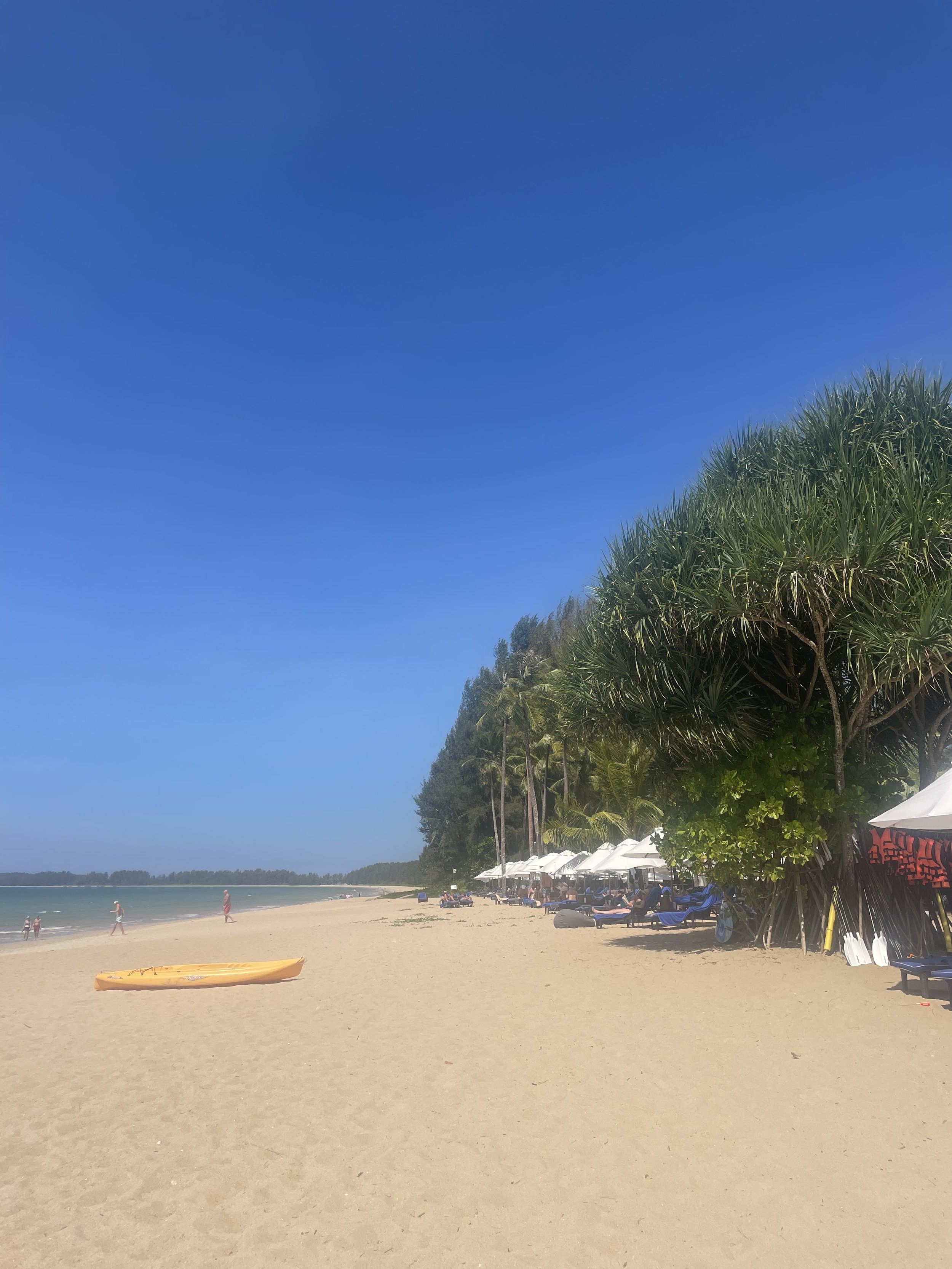 IMG_0610.jpeg