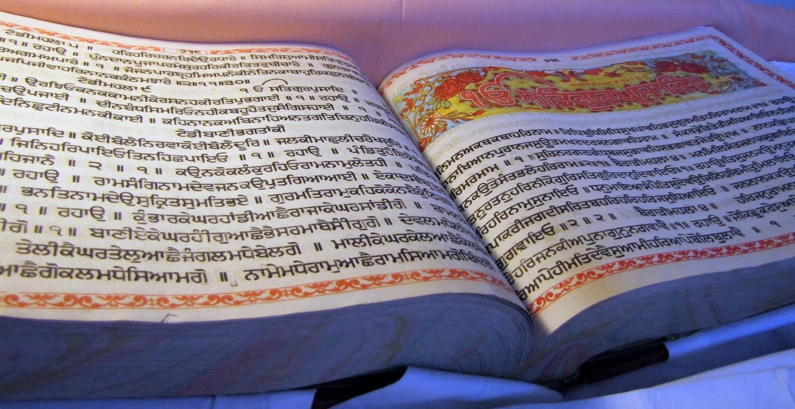 Akhand-Path-Siri-Guru-Granth-Sahib-by-Bhai-Balbir-Singh-Sidki.jpg