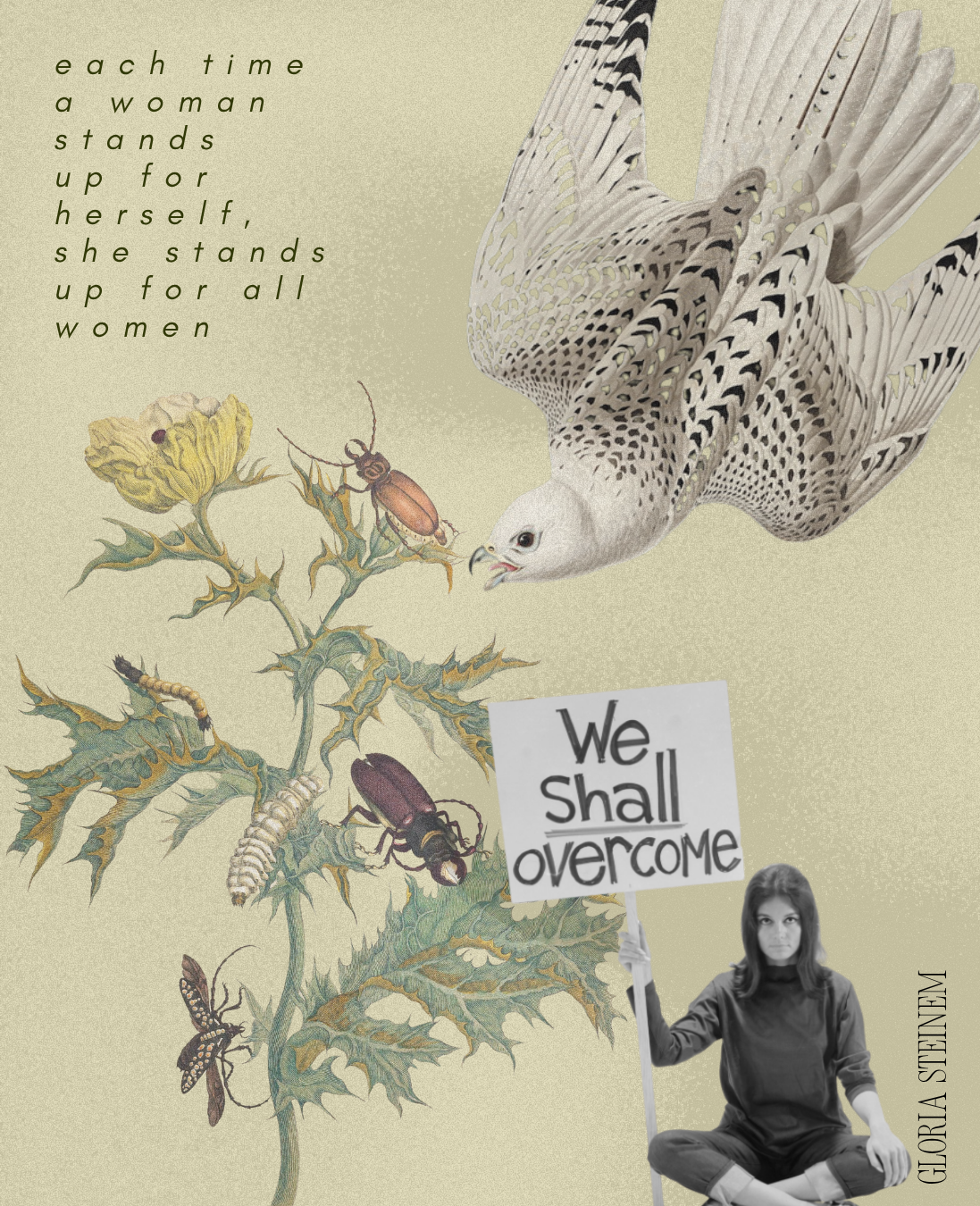 Illustration of a woman holding a sign that says 'We shall overcome' next to a hawk and insects on a plant, with a quote about women standing up for themselves.