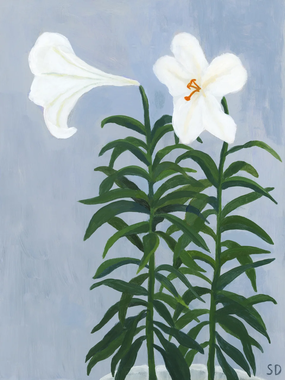 Twin Tower Lilies