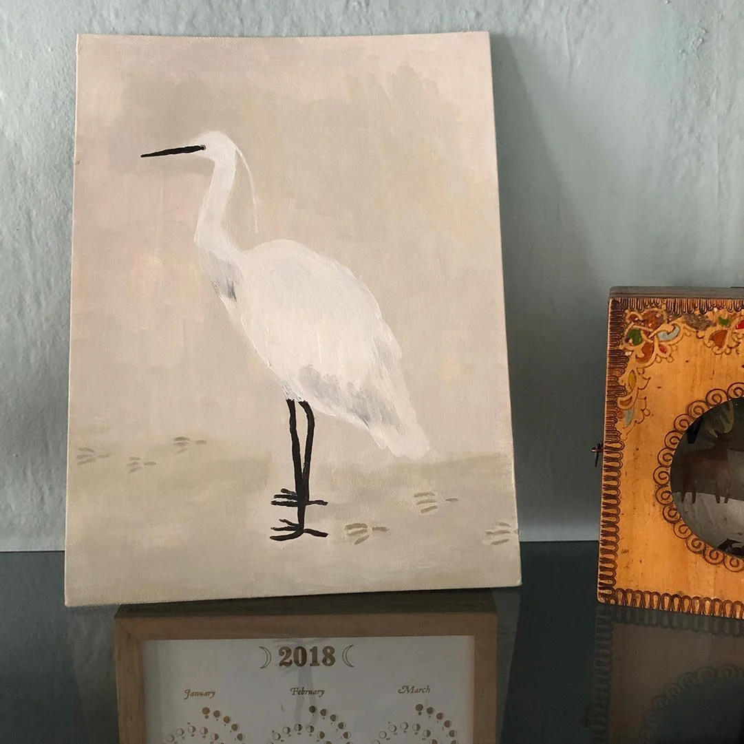 Egret by the beach