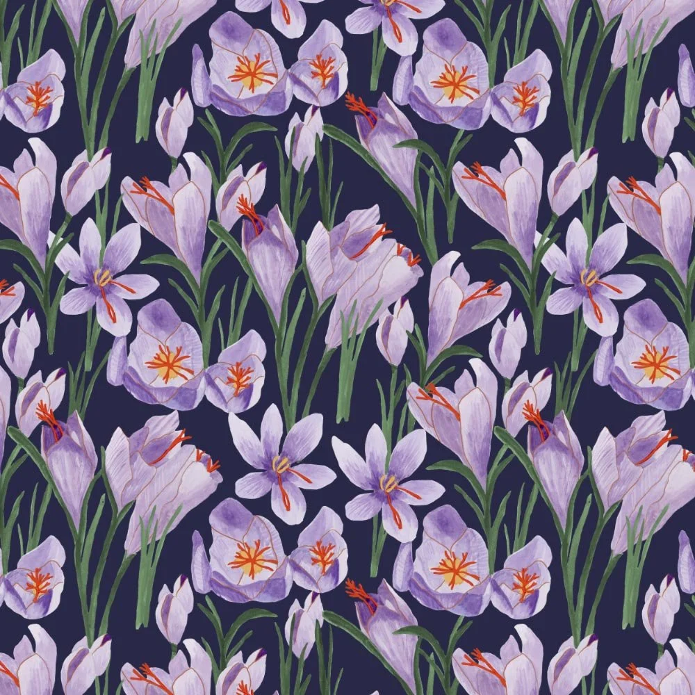 Cretan Crocuses