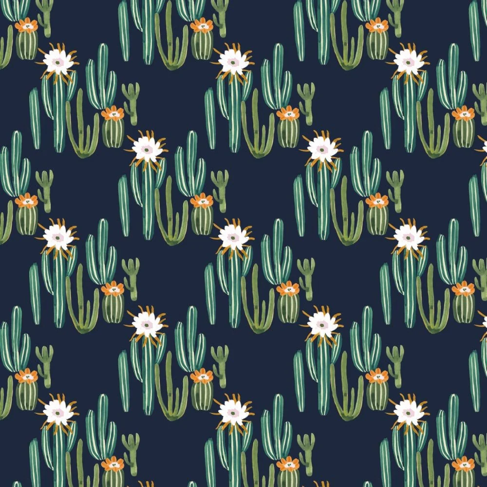 Desert Night