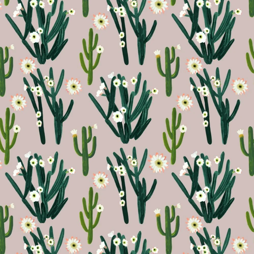 Visionary Cactus