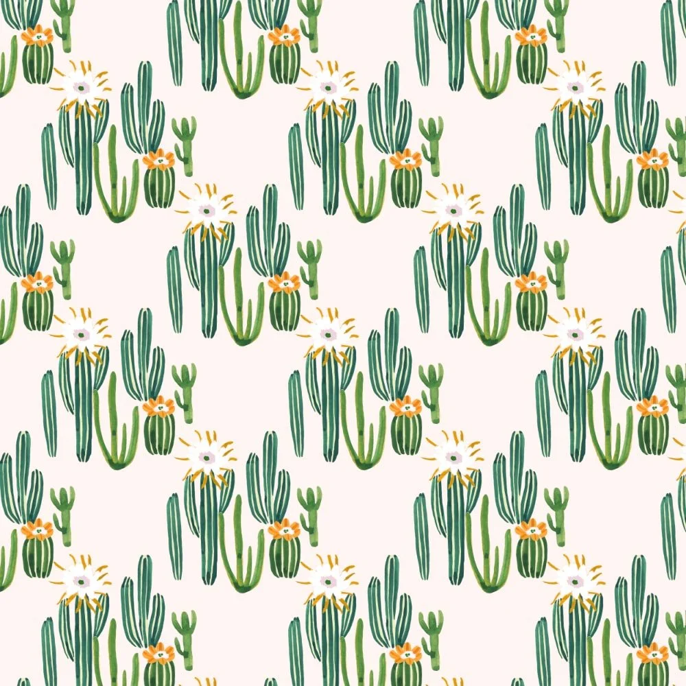 Cactus Desert
