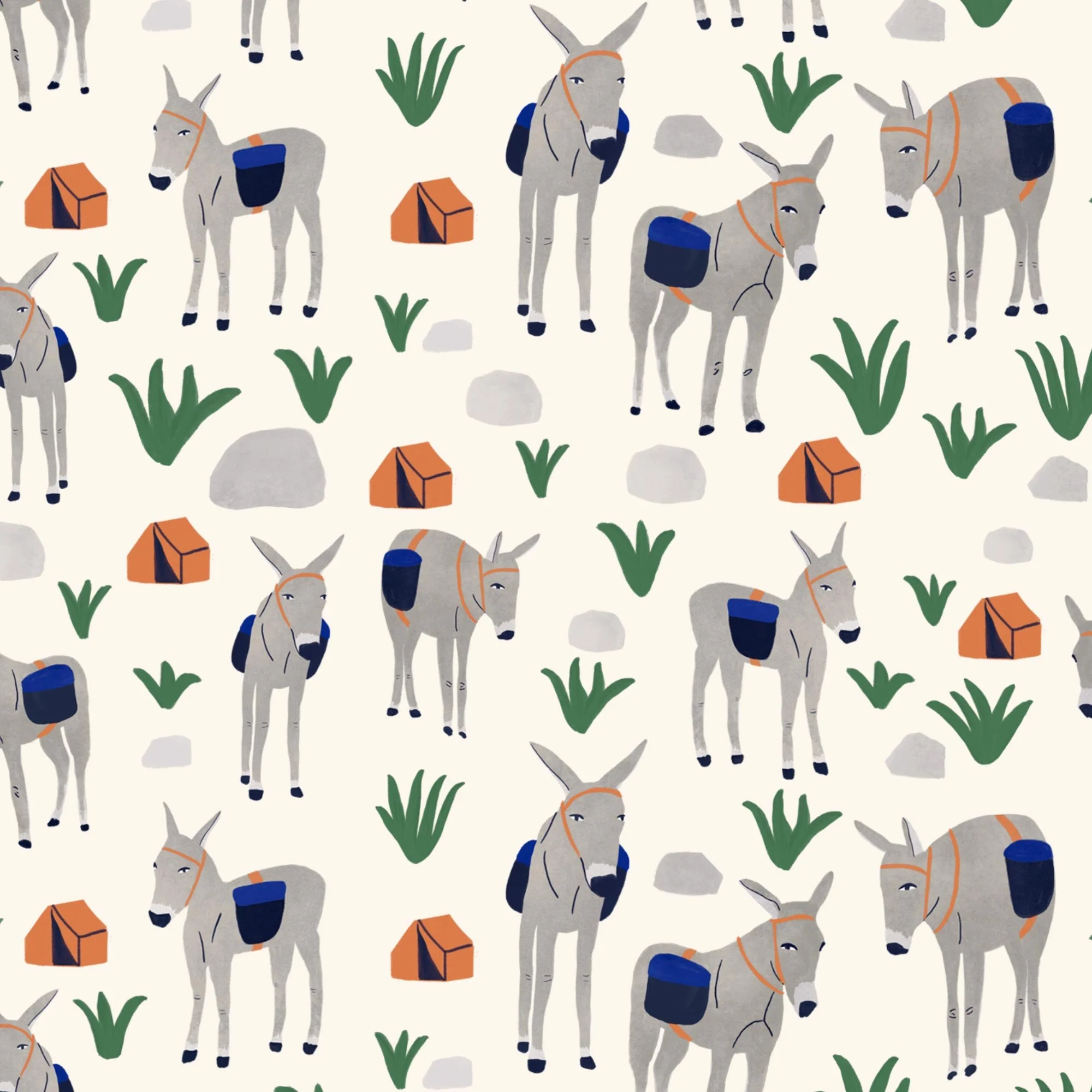 Donkeys Pack