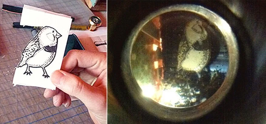 Windup Bird Diorama, bird inside the well seen through the peep hole