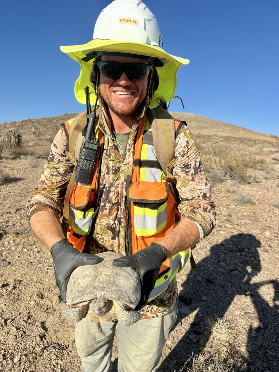 A man in desert terrain holding a Desert Tortoise, wearing field survey PPE.