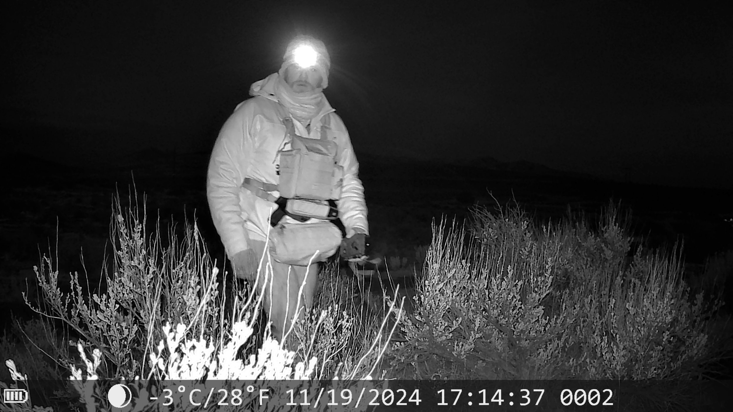 A person standing outdoors at night wearing a jacket, hat, and headlamp, surrounded by tall grasses, with dark landscape and sky in the background.