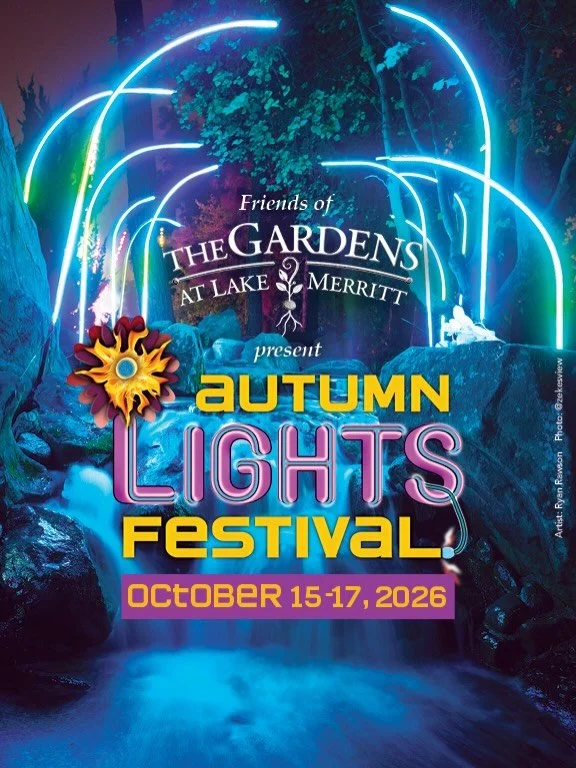 We&rsquo;re preparing for an installation for @gardens_lake_merritt Autumn Lights Festival with @oaklandsaplings 🍁👀

Every fall, the Gardens at Lake Merritt come alive with glowing art, color, music, and installations created by artists from across
