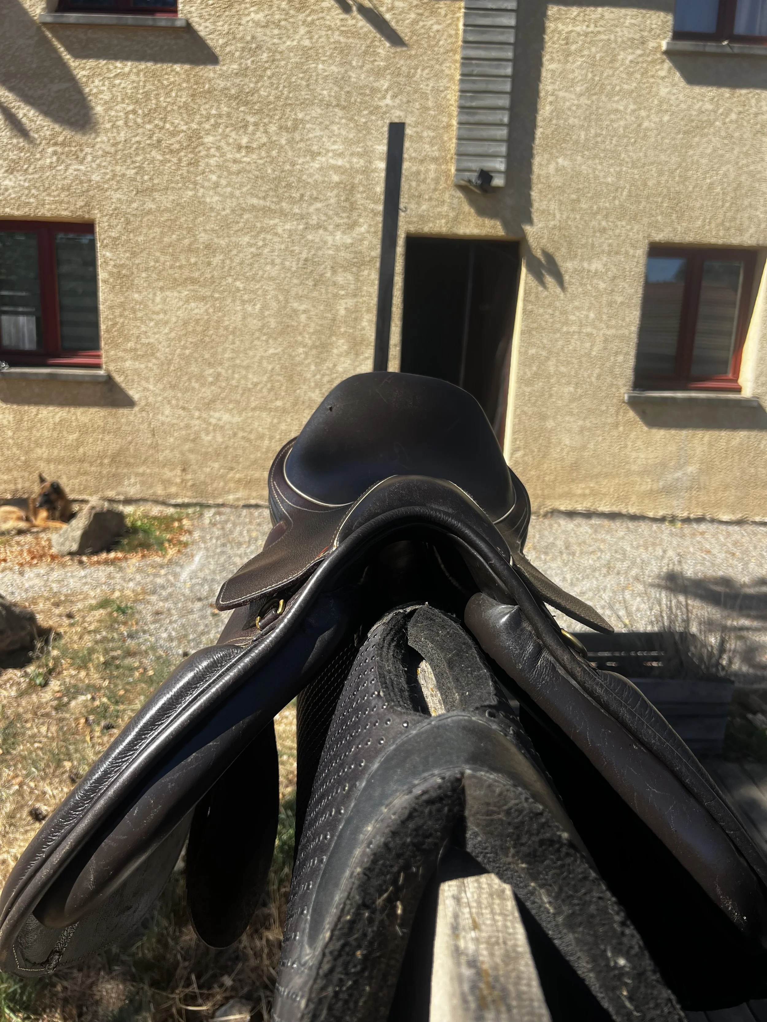 IMG_7981.jpeg