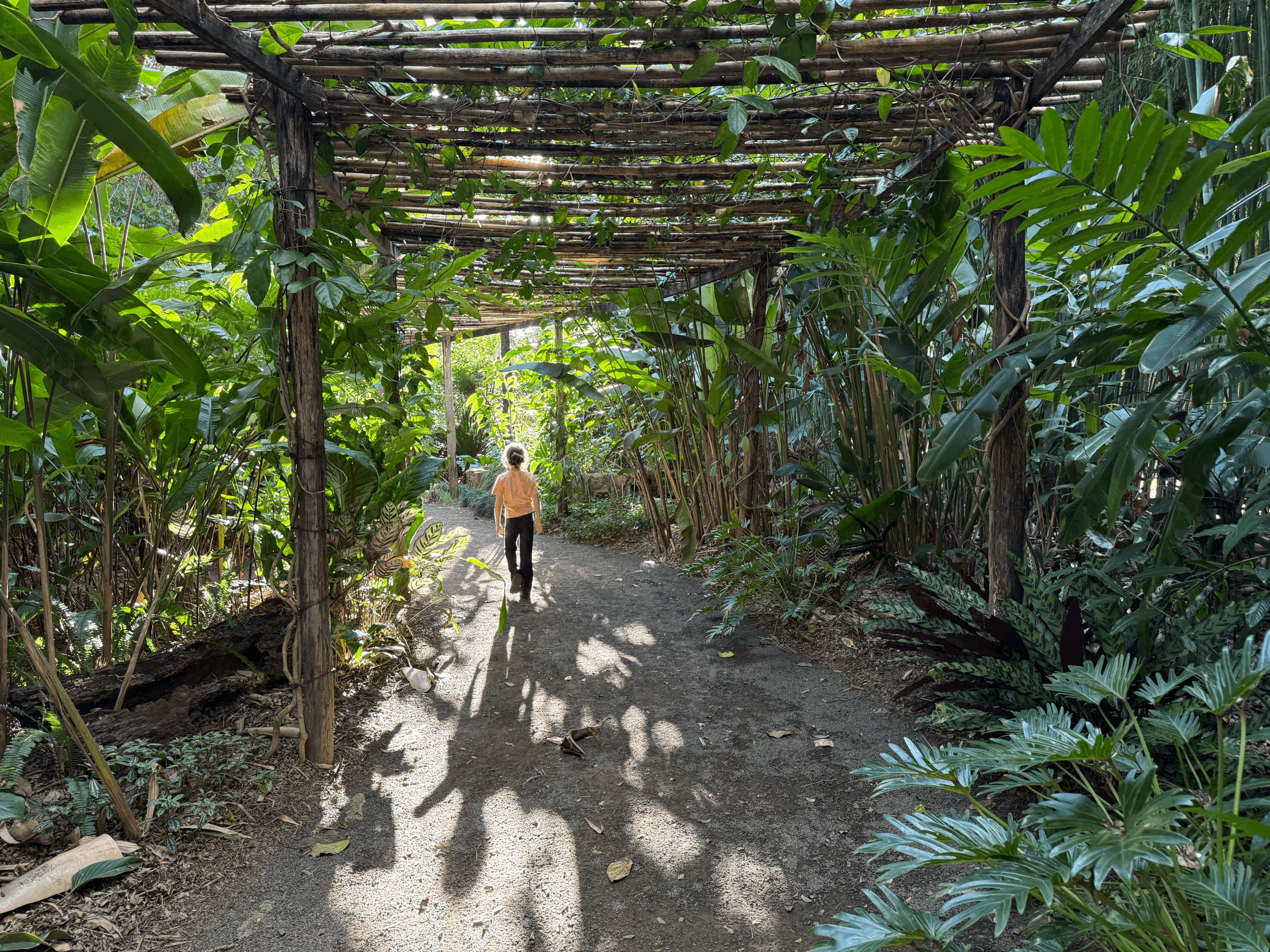 Free things to do with kids on the Fraser Coast