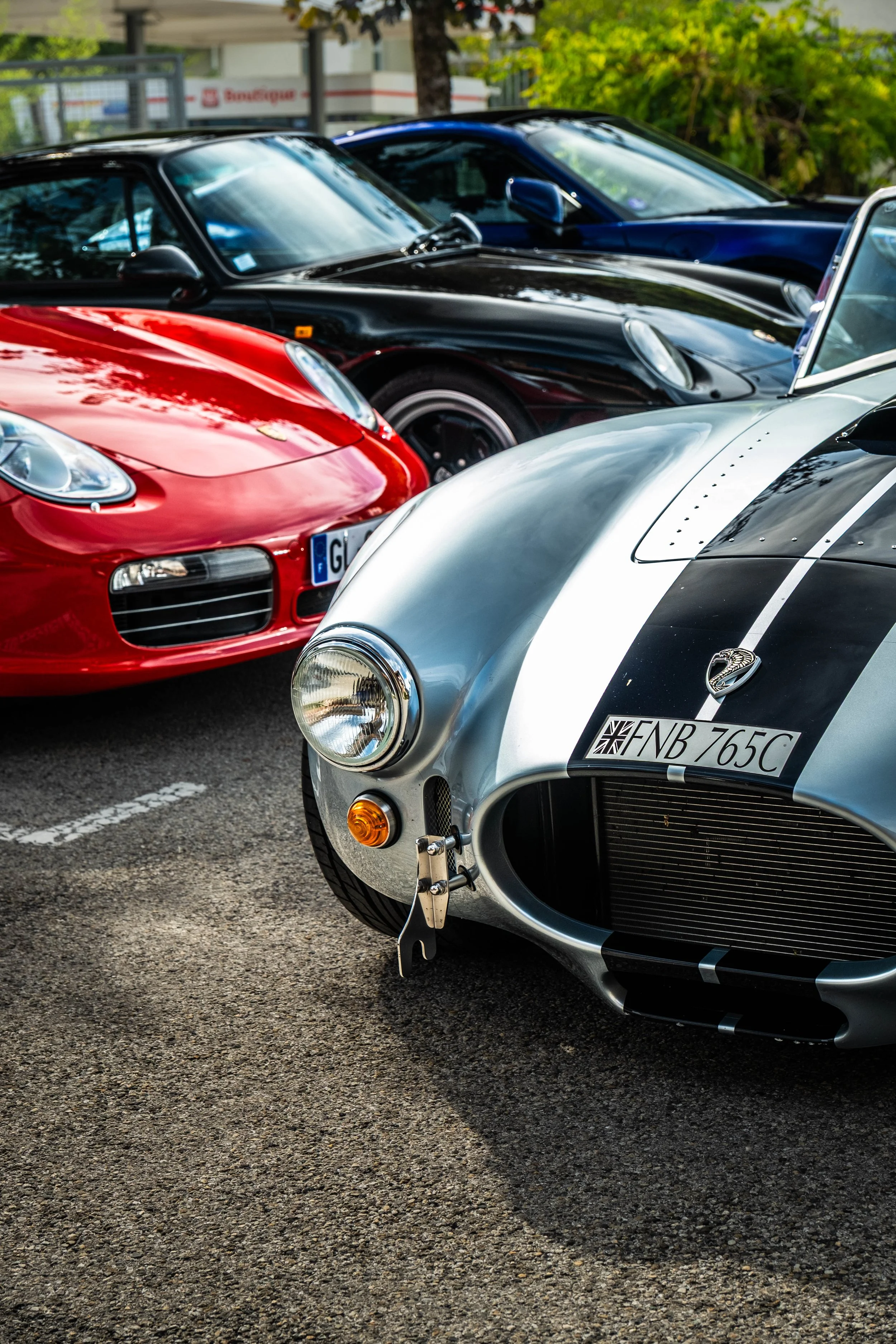 DSCF7559.jpg