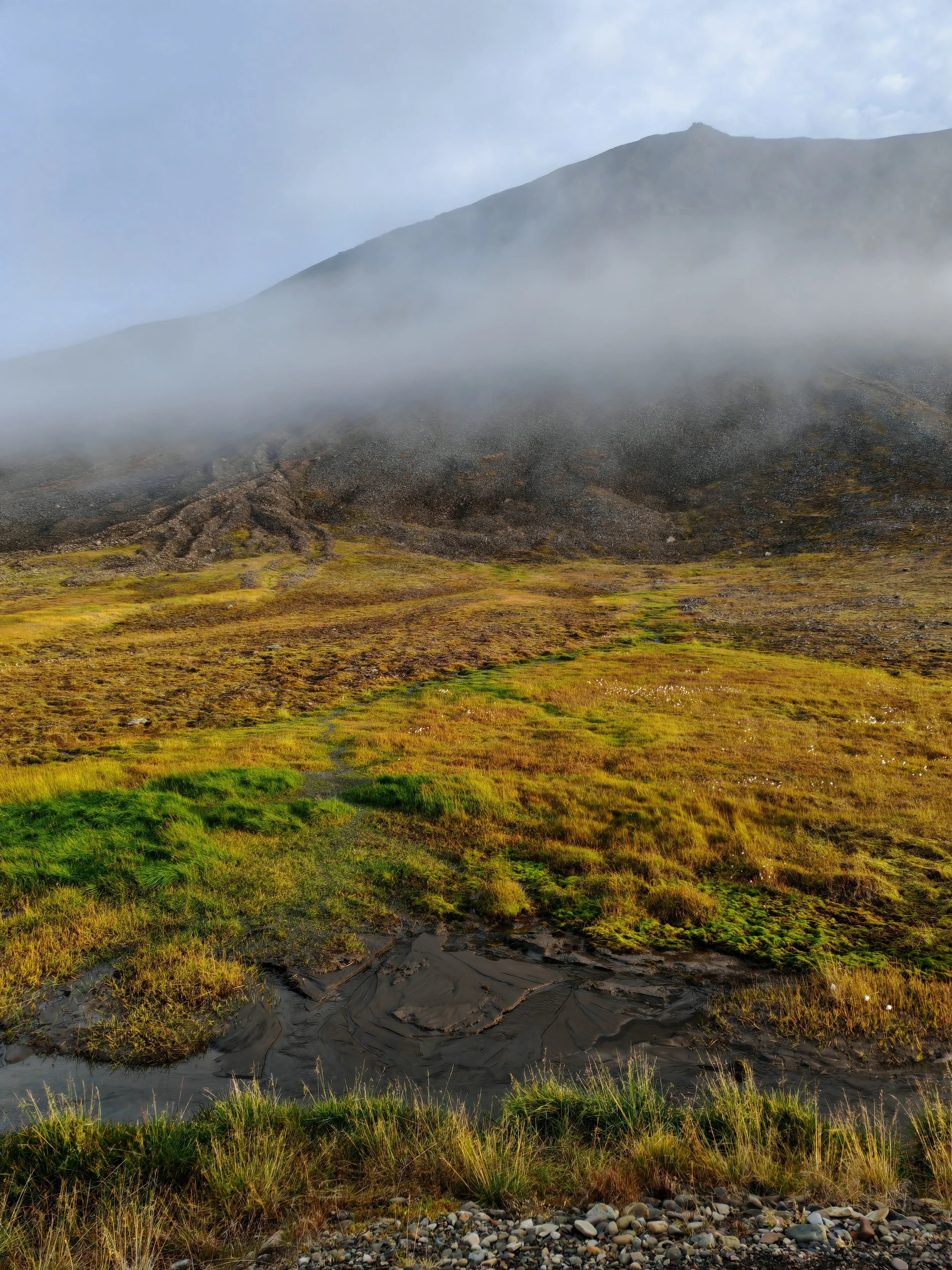 A scenic landscape with a mountain in the background, a foggy area, and a grassy area with patches of mud and rocks in the foreground.