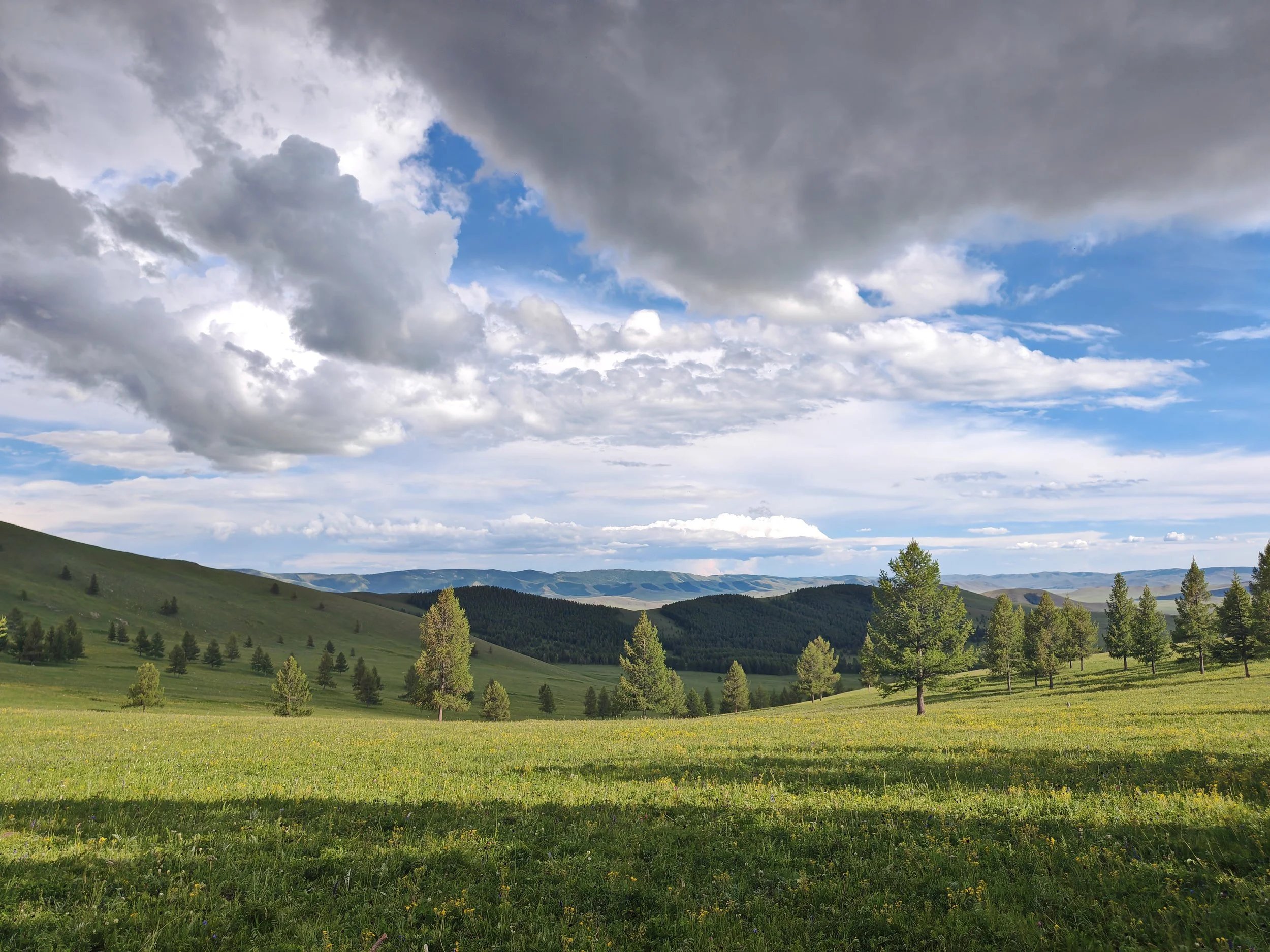 A landscape of rolling green hills dotted with trees under a partly cloudy sky with patches of blue.