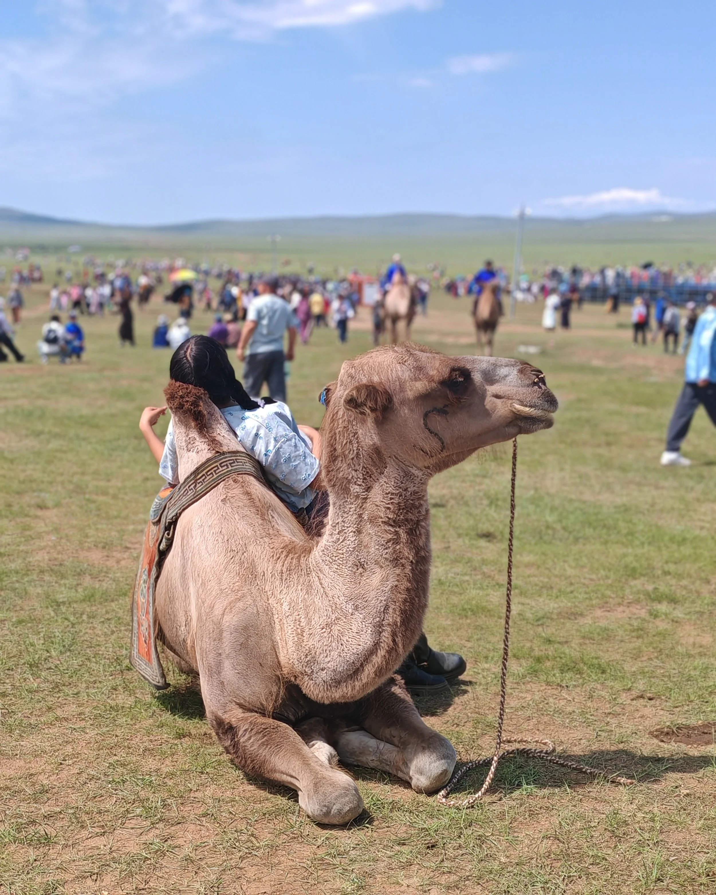 A camel with a young girl sitting on its back is situated in a grassy open area during daytime. The girl is pointing at something in the distance. In the background, there are many people, some on horseback, and a few on the ground, with rolling hill