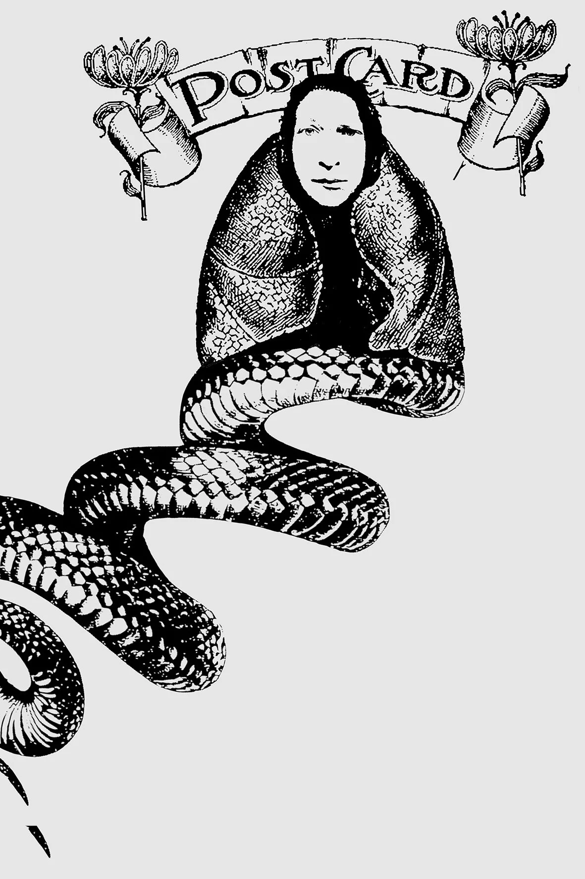 A black-and-white illustration featuring a snake with a human face, above a banner with the word "Postcard". The snake has a textured, patterned body and remakes a traditional tattoo style.