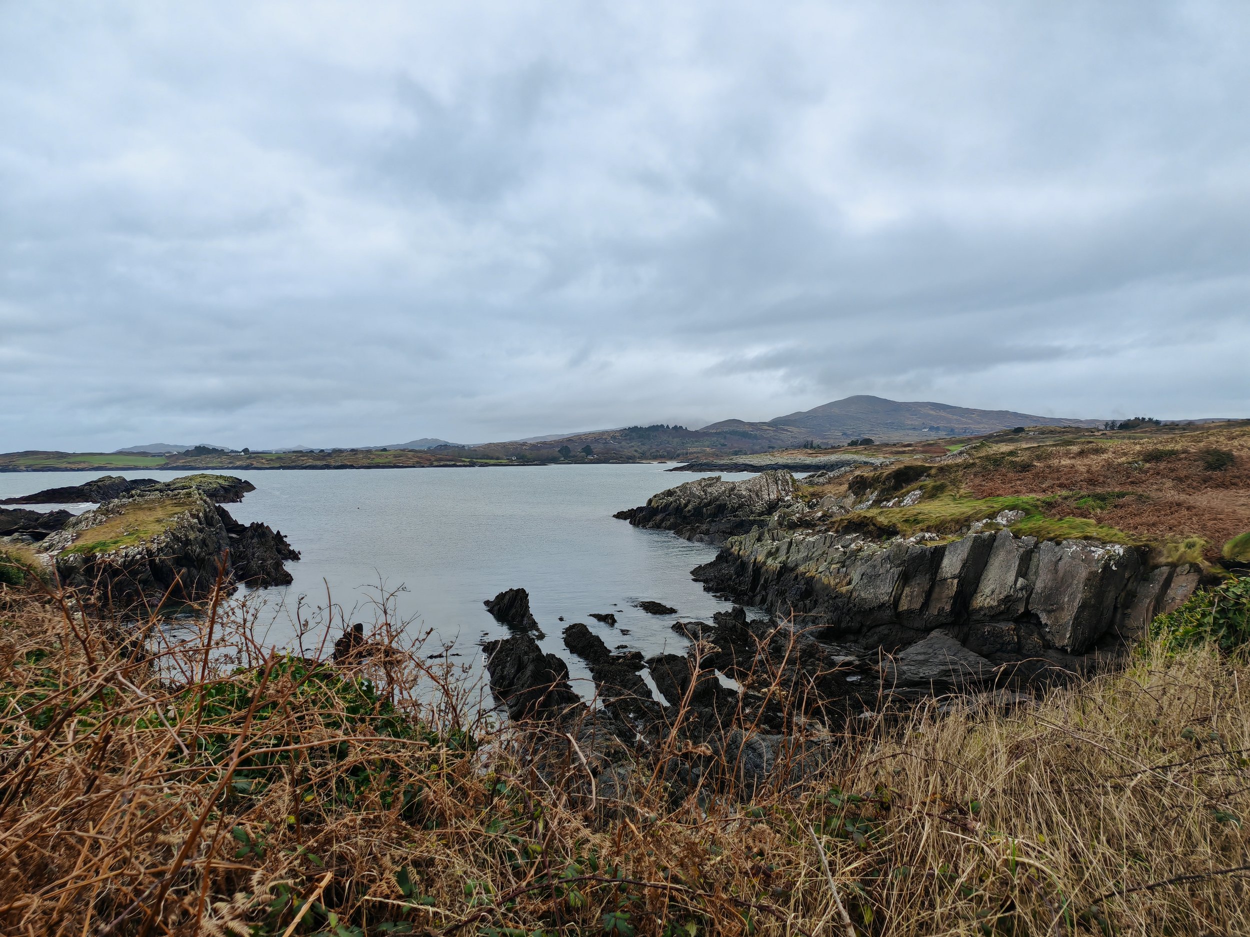 A coastal landscape with rocky shores, a body of water, heather and grass-covered hills, and a cloudy sky.
