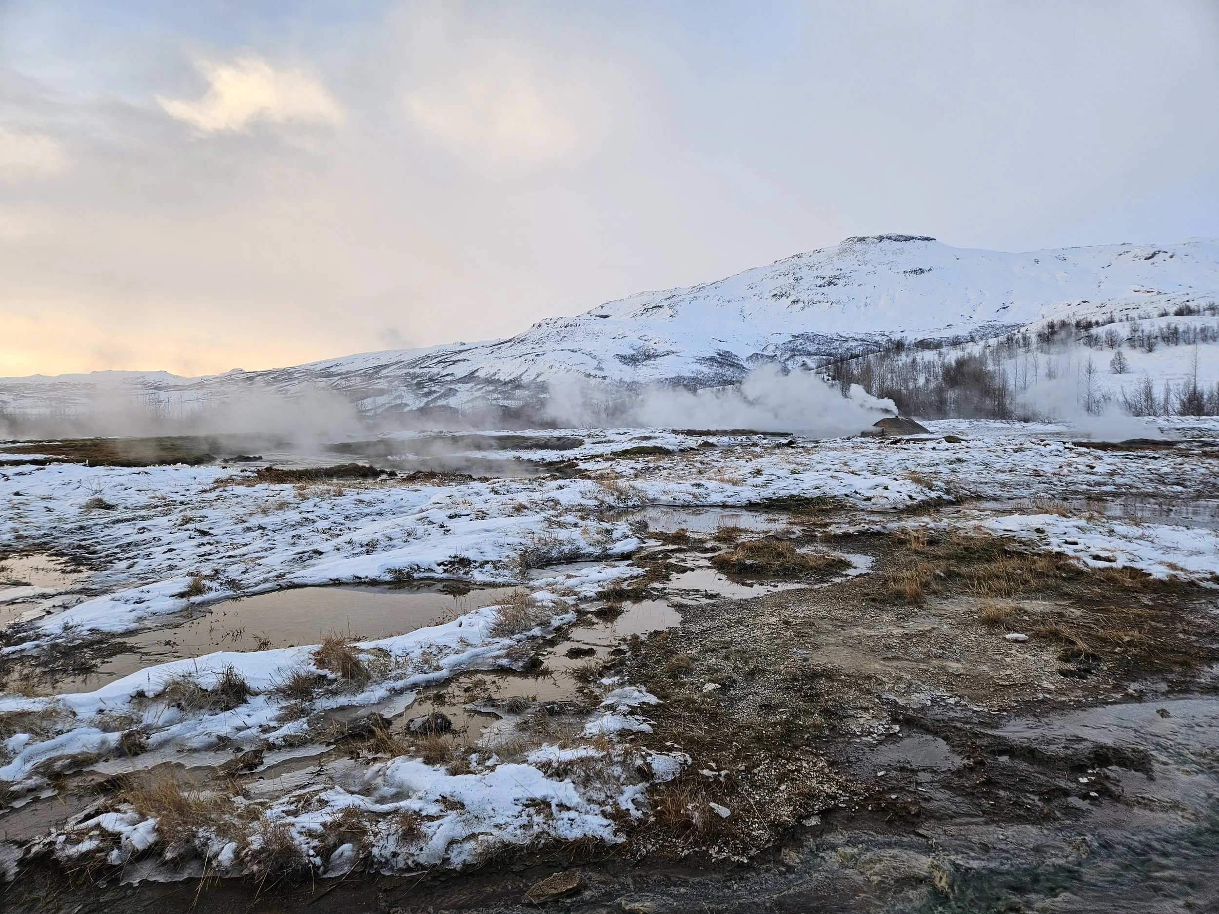Snow-covered mountain landscape with steam rising from geothermal features, sparse trees, and a cloudy sky.