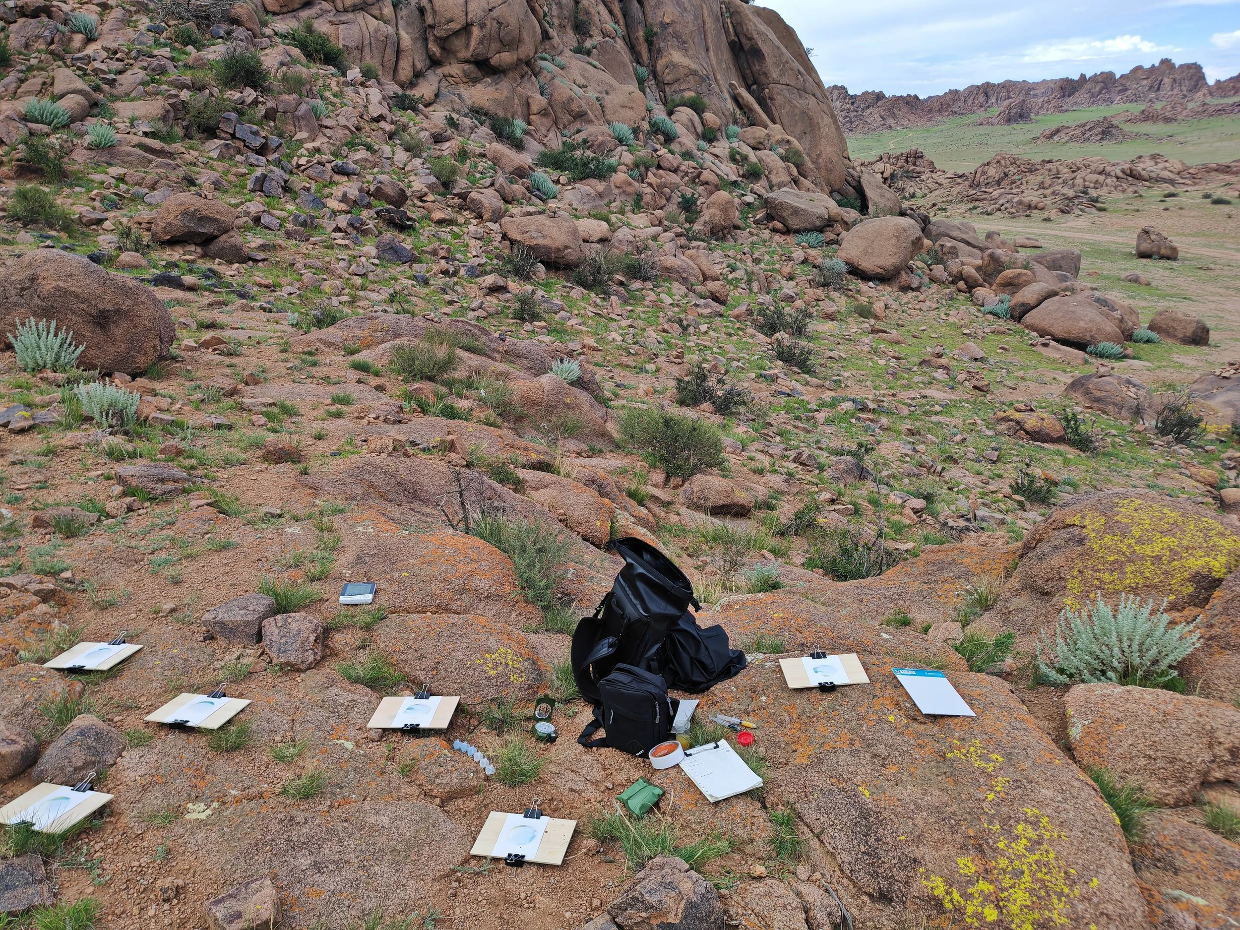 Desert landscape with large rocks and sparse green vegetation under a cloudy sky, with various art supplies and notebooks scattered on the ground.