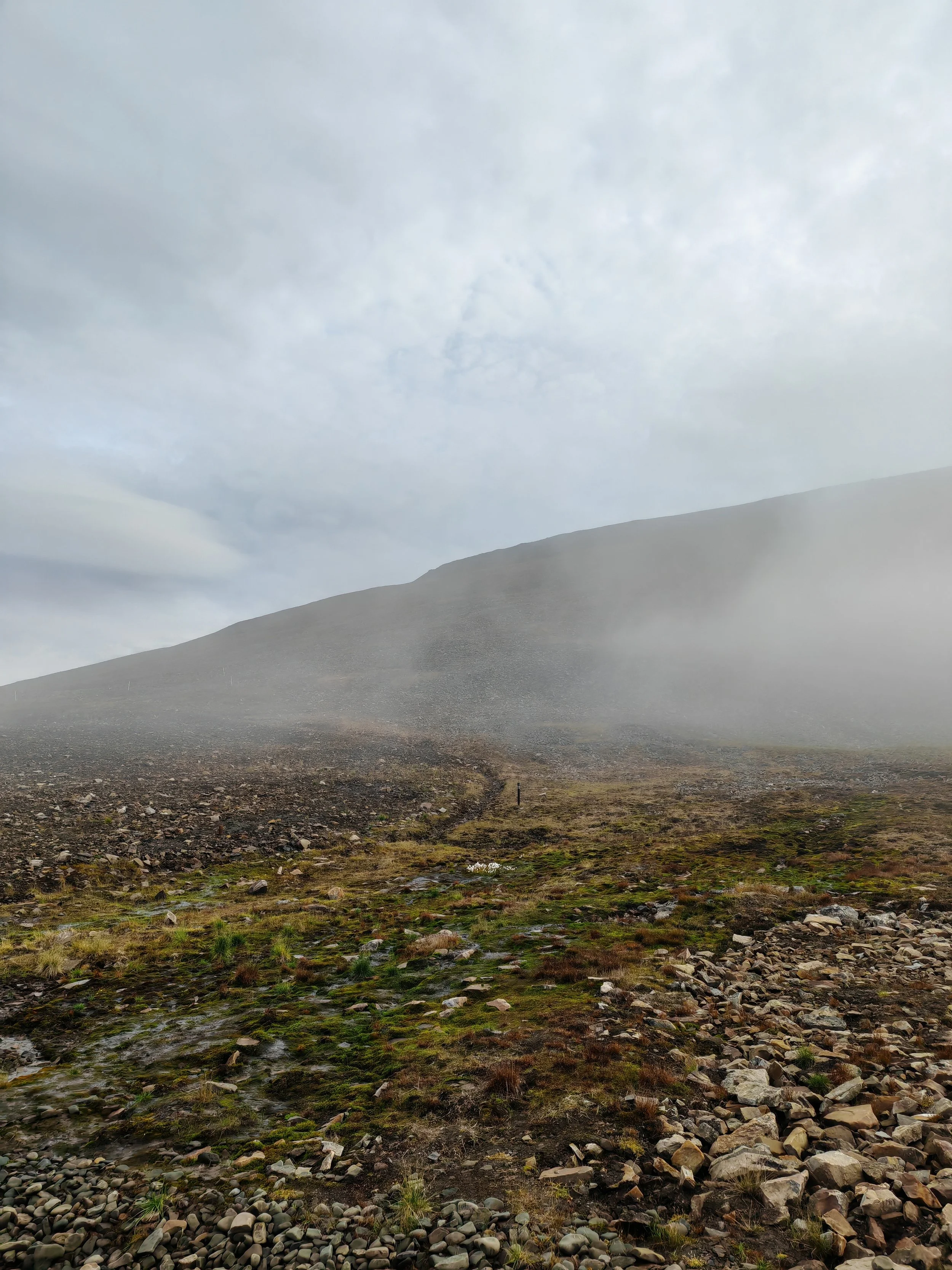 A misty, overcast landscape with a hill in the background, rocky ground in the foreground, and sparse green vegetation.