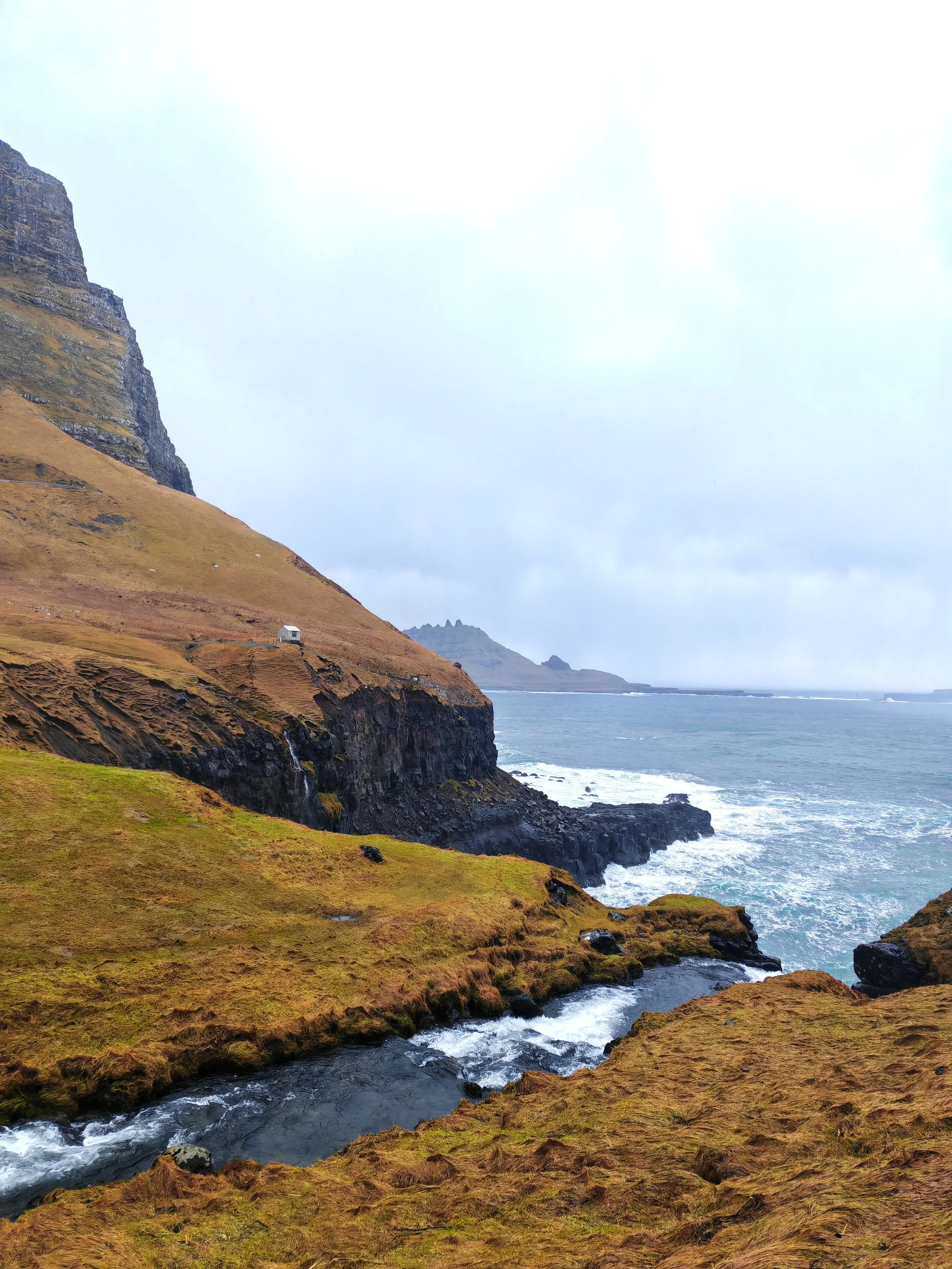 Coastal landscape with rugged cliffs, grassy hillside, and ocean waves under cloudy sky.