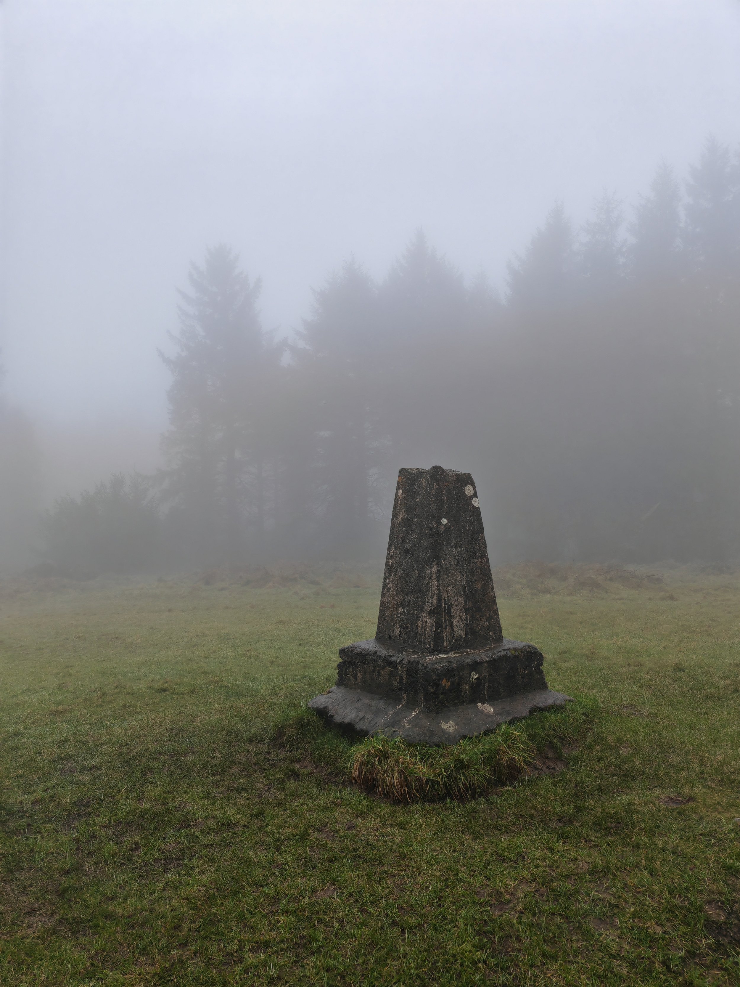 A foggy landscape showing a stone monument in the foreground and a forest of tall trees in the background.