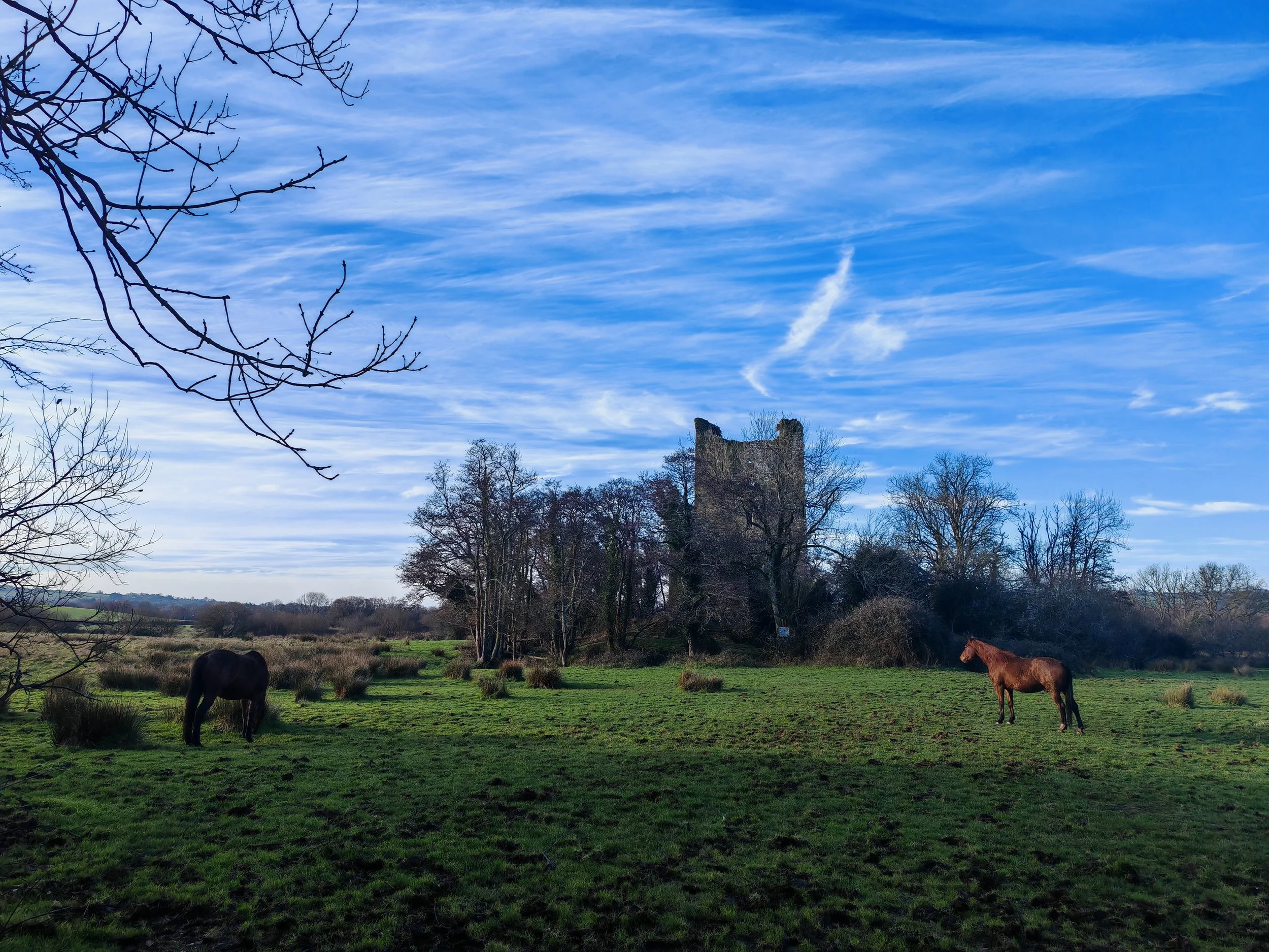 Open field with two horses grazing, lined with trees and ruins of an old stone building, under a partly cloudy blue sky.