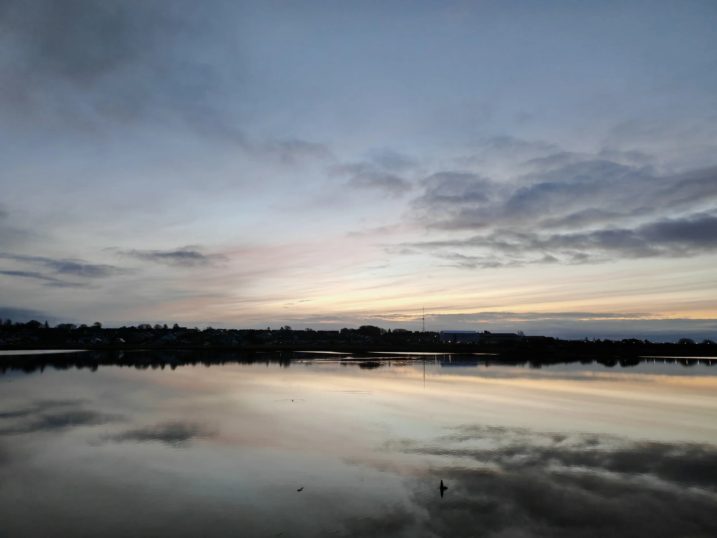 Calm river reflecting a cloudy sky at dawn with a small bird on the water and a distant shoreline with houses and trees.