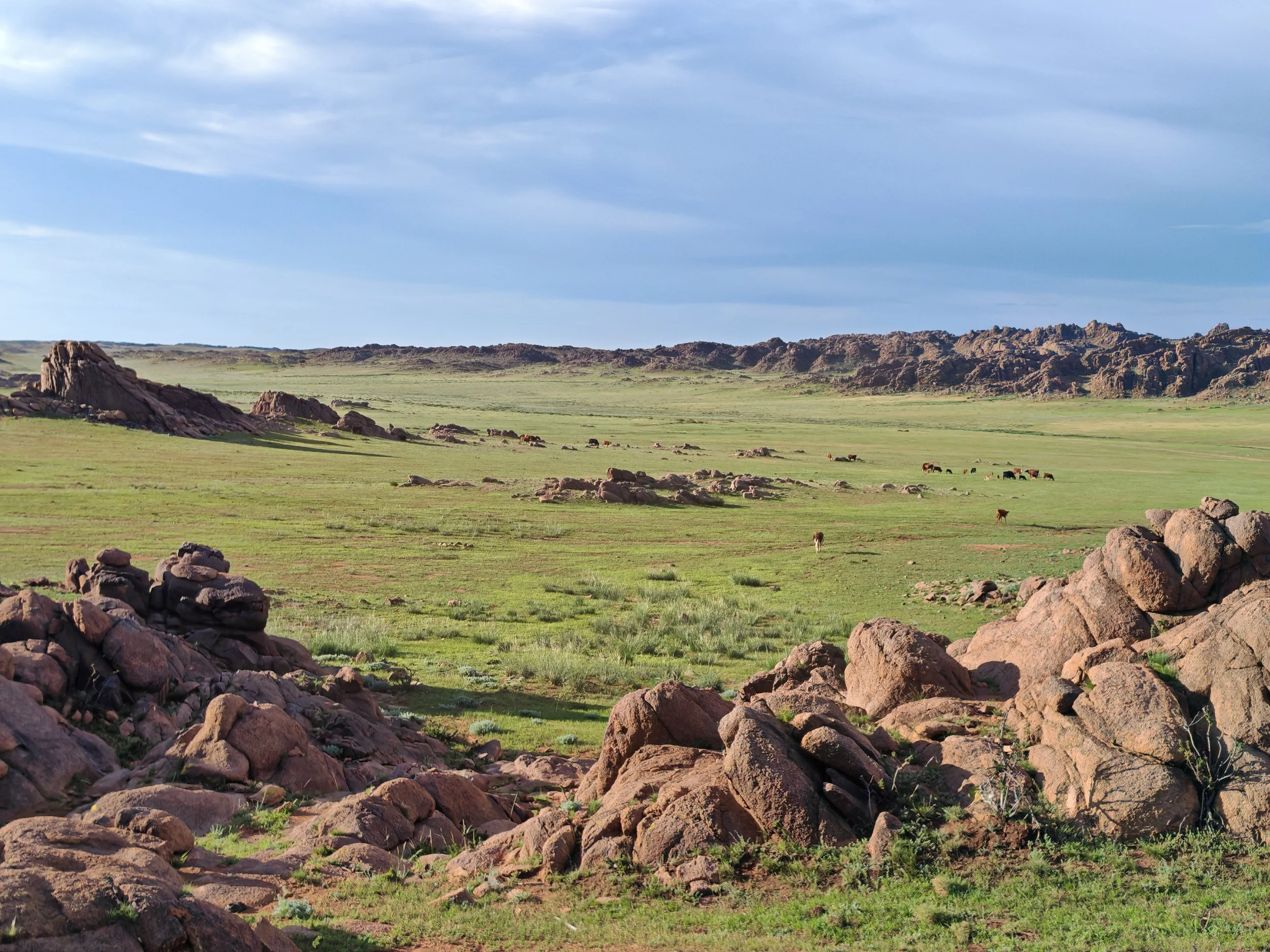 A vast open landscape with green grass, scattered rocks, and a small herd of animals, with distant rocky hills under a partly cloudy blue sky.