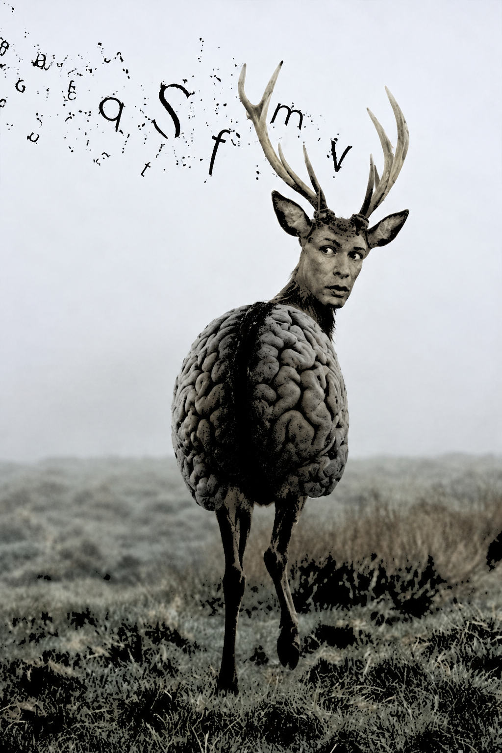 A surreal animal with the body of a brain, the legs of a deer, and the head of a human with antlers, standing in a field with a foggy sky. Letters are floating out of its antlers.