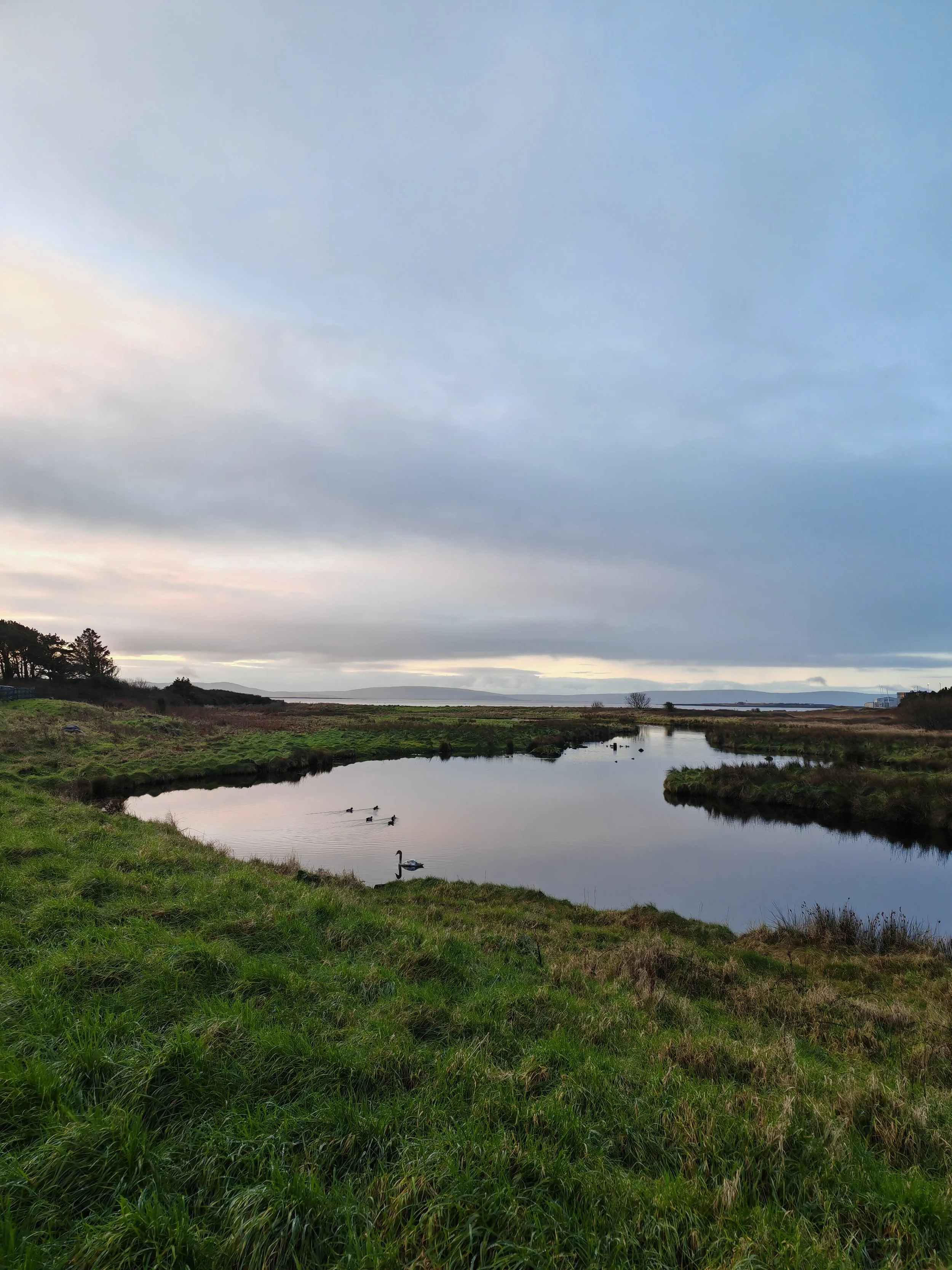 A tranquil landscape featuring a calm river or lake with ducks swimming, bordered by green grassy banks and trees, under a cloudy sky with hints of blue and light peeking through.