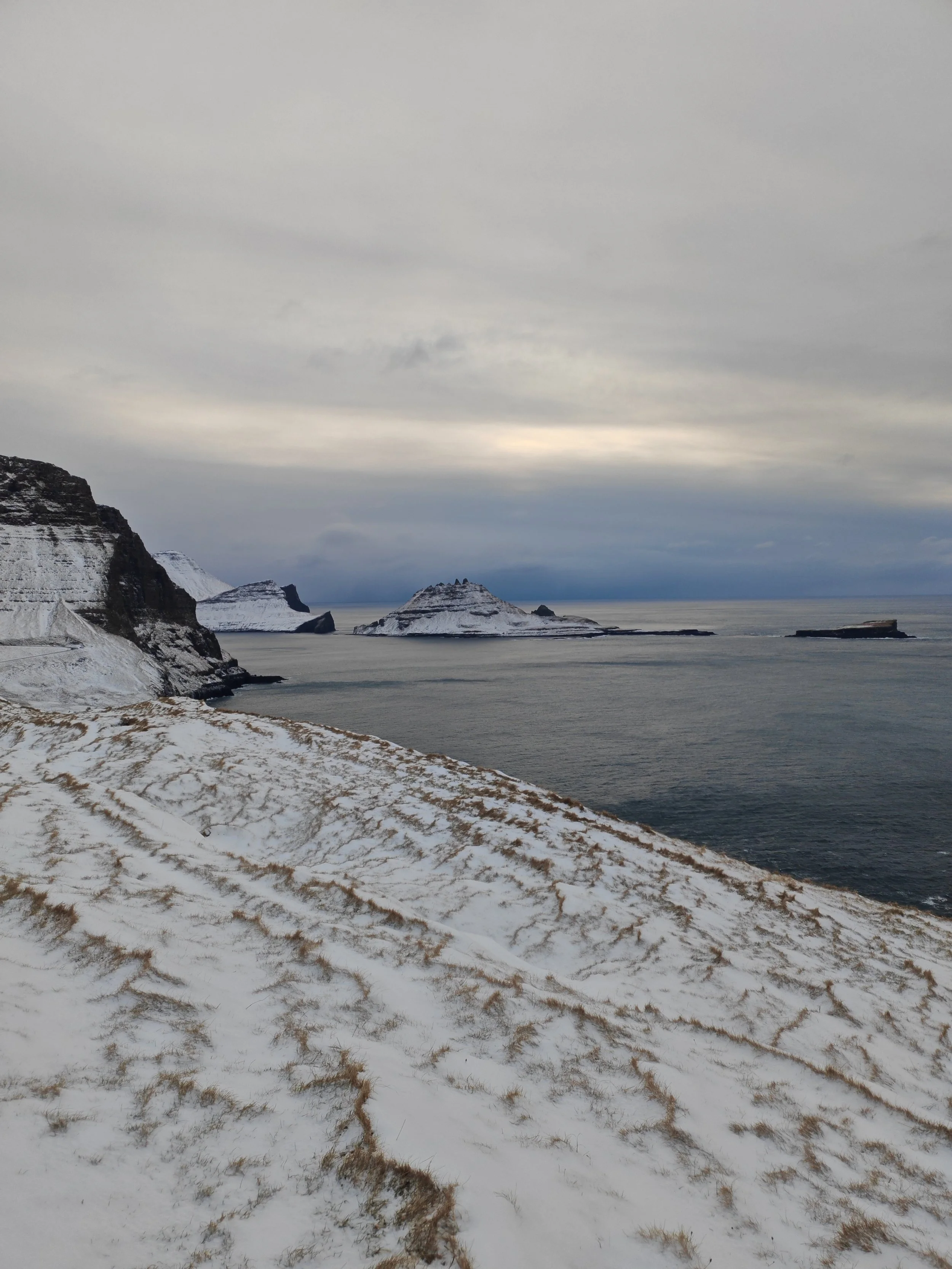 Snow-covered grassy coastline with cliffs and rocky islands in a gray overcast sky.