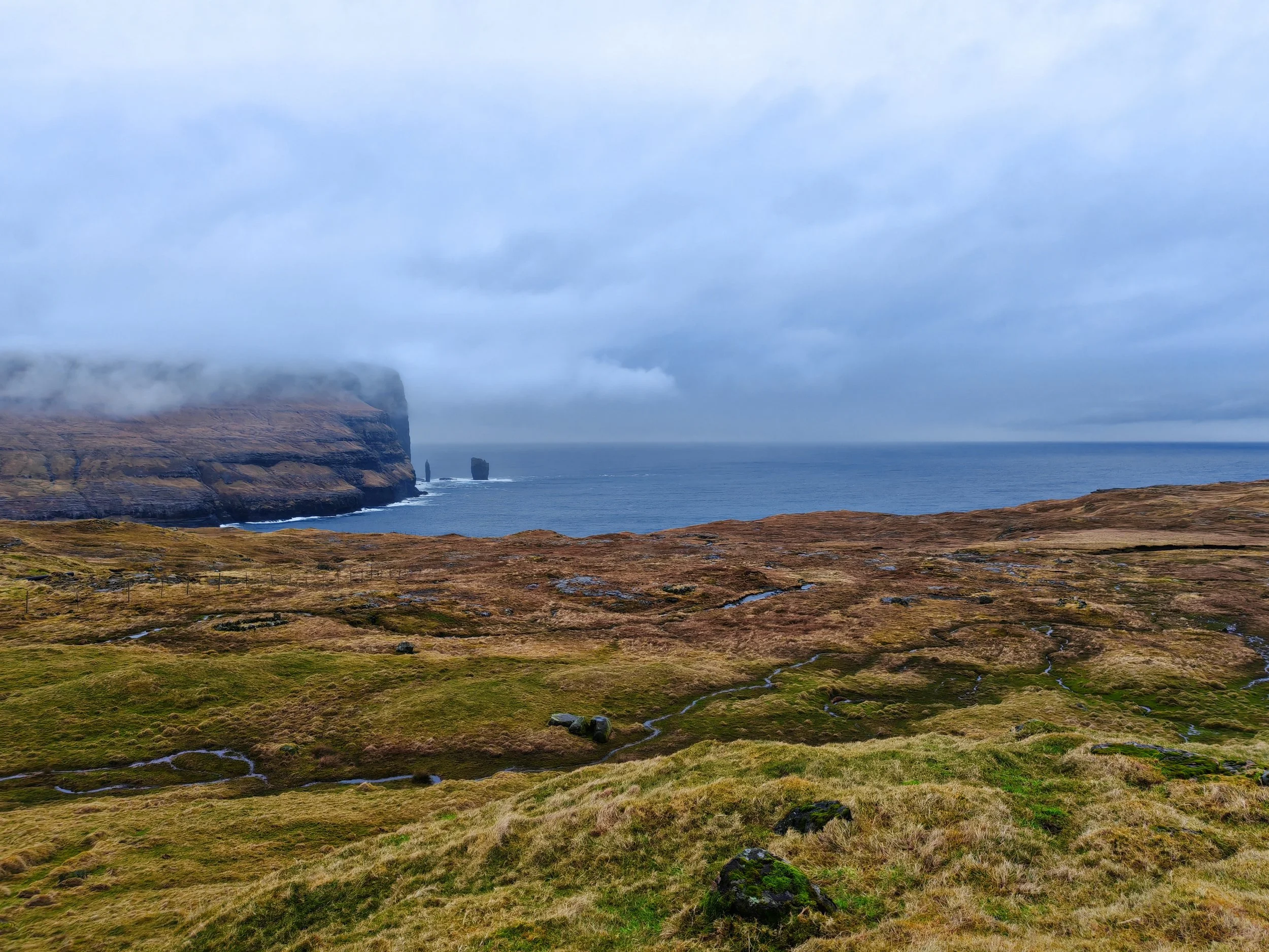 Coastal cliffs under a cloudy sky with patches of green grass and small streams in the foreground.