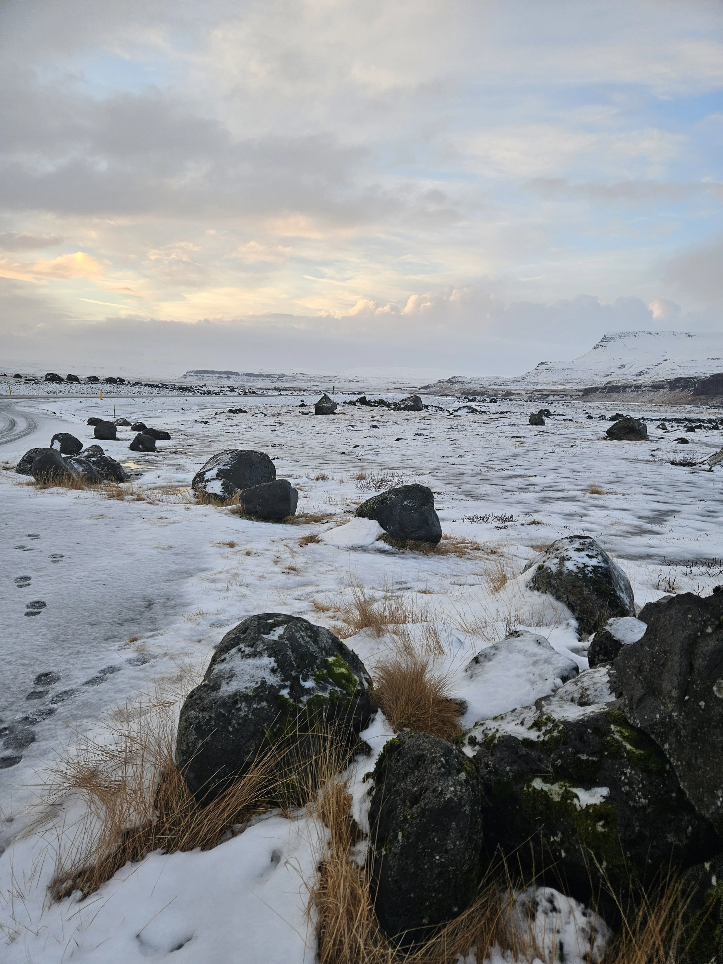 Snow-covered landscape with rocks, patches of grass, and a distant mountain under a cloudy sky.