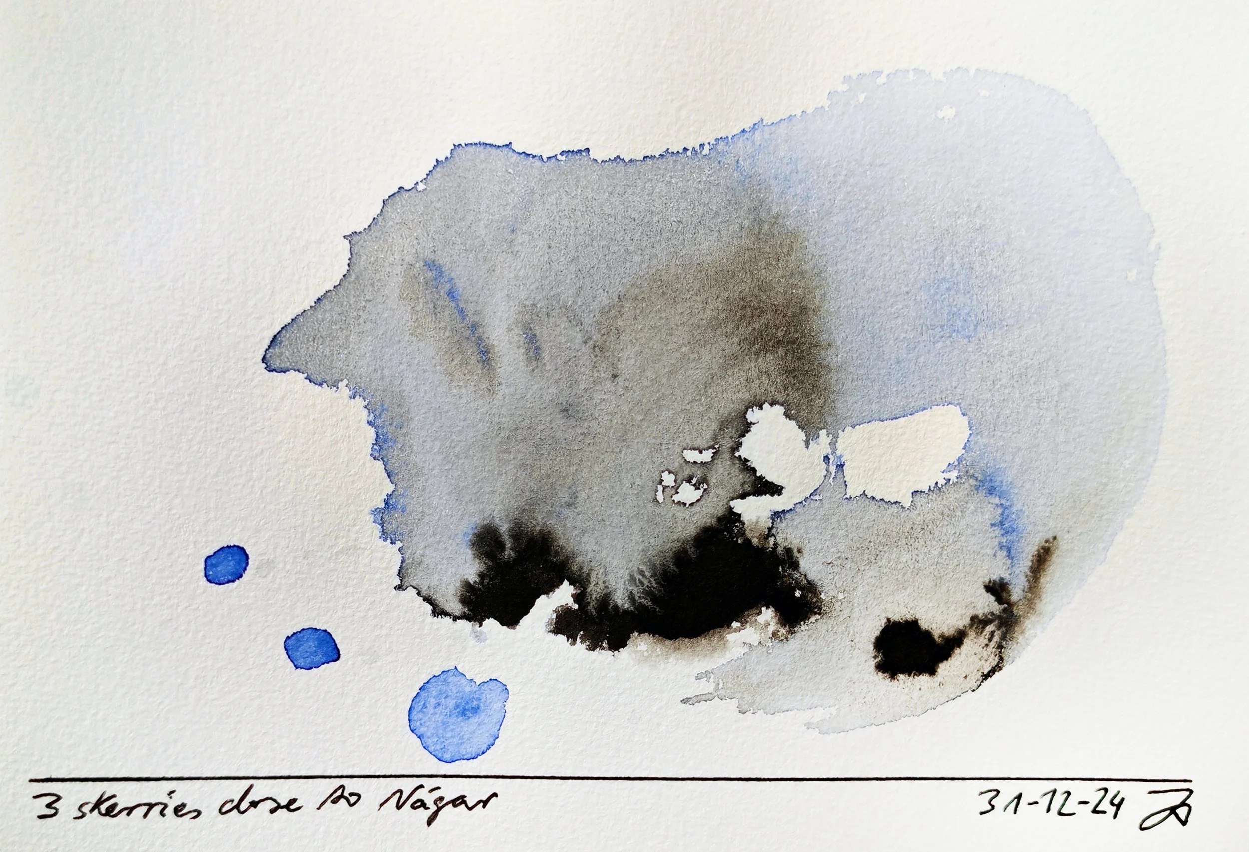 Watercolor painting with black, brown, blue, and gray colors, and handwritten text at the bottom that states, '3 Skerries dive to Nägar' and a date of 3-11-24.
