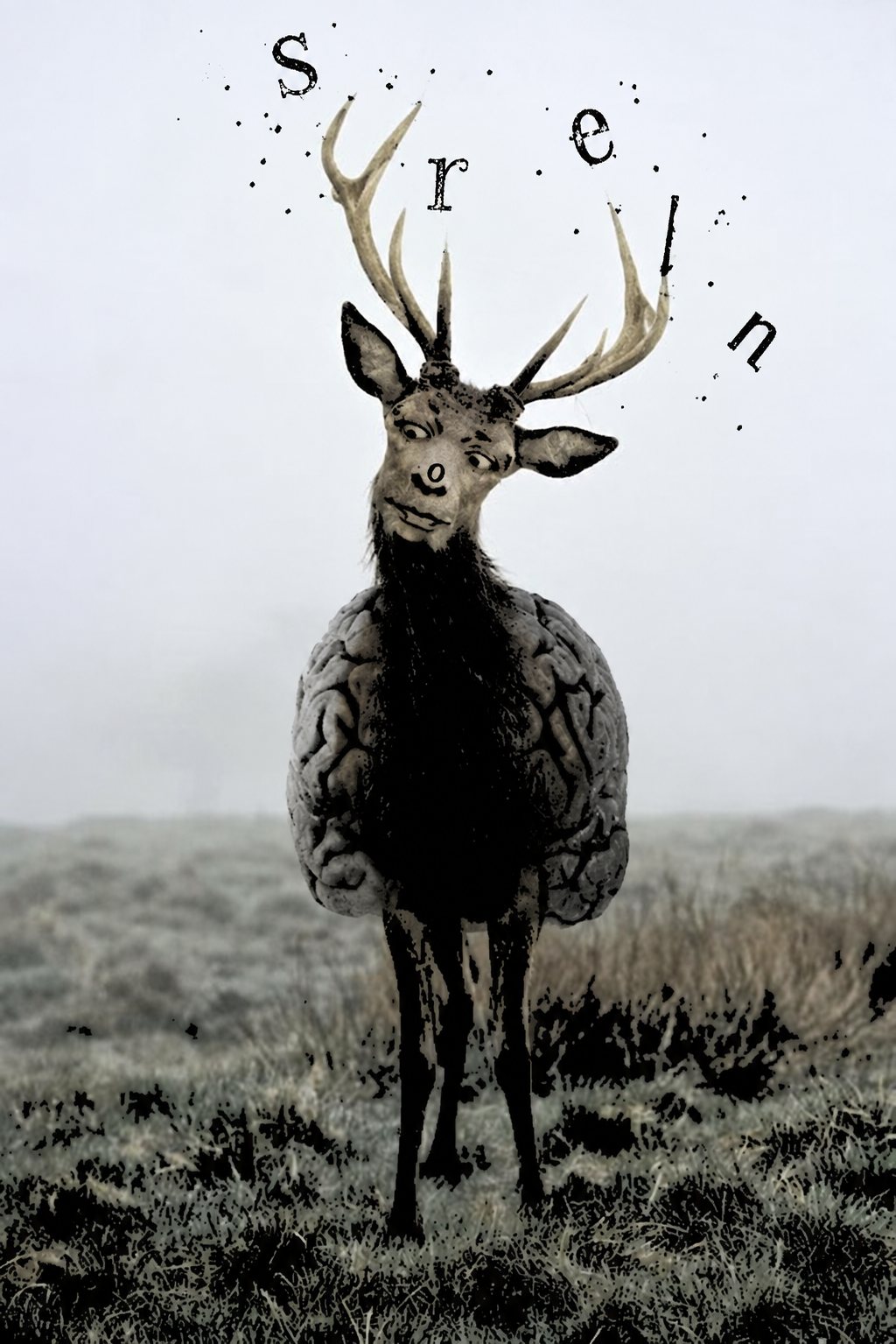 A surreal art piece depicting a hybrid creature with a deer's antlers and ears, a human-like face, and a brain for a body, standing in a foggy field with the word "Serenity" floating above.