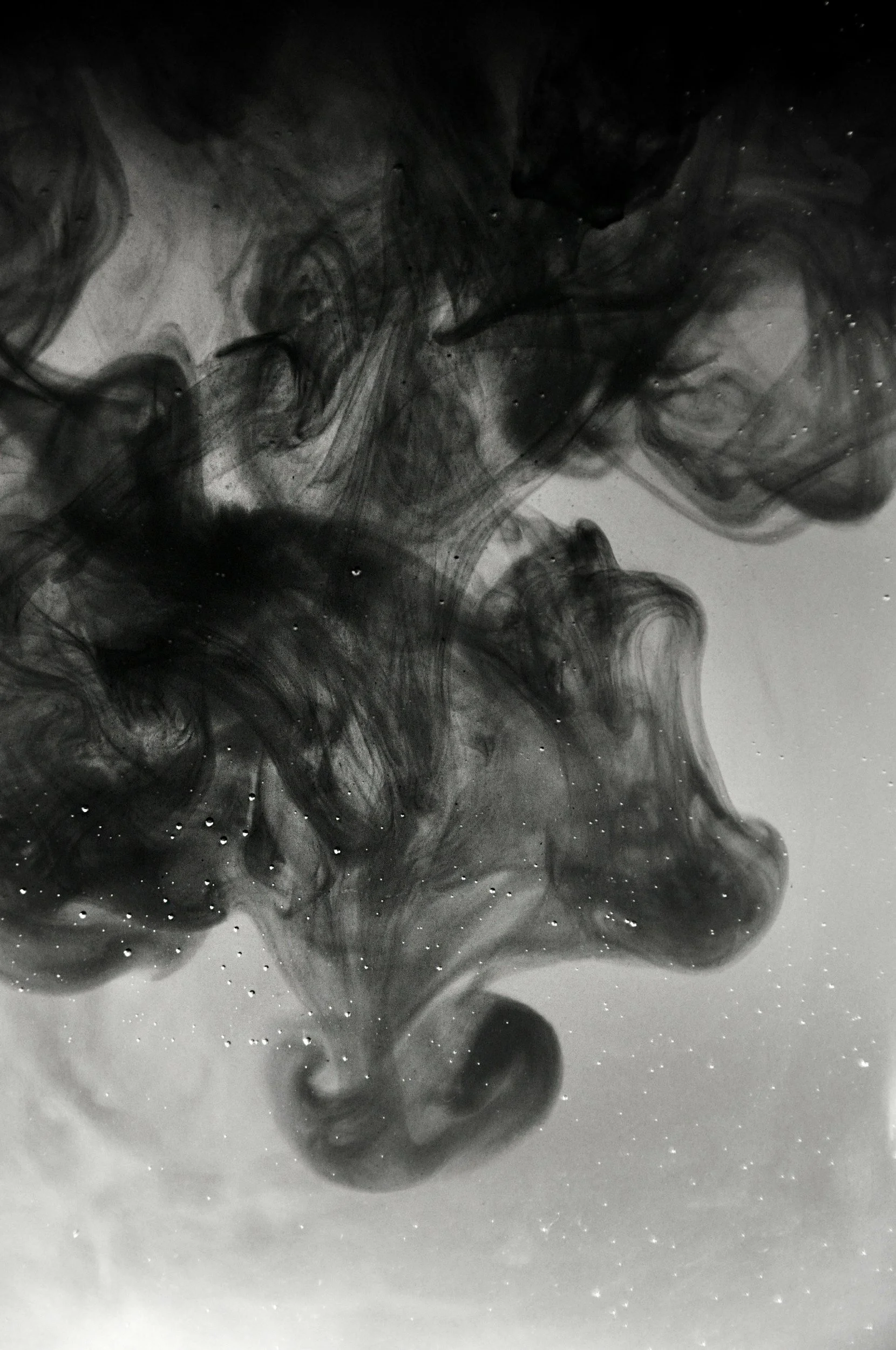 Black ink swirling in water with tiny bubbles and a white background.