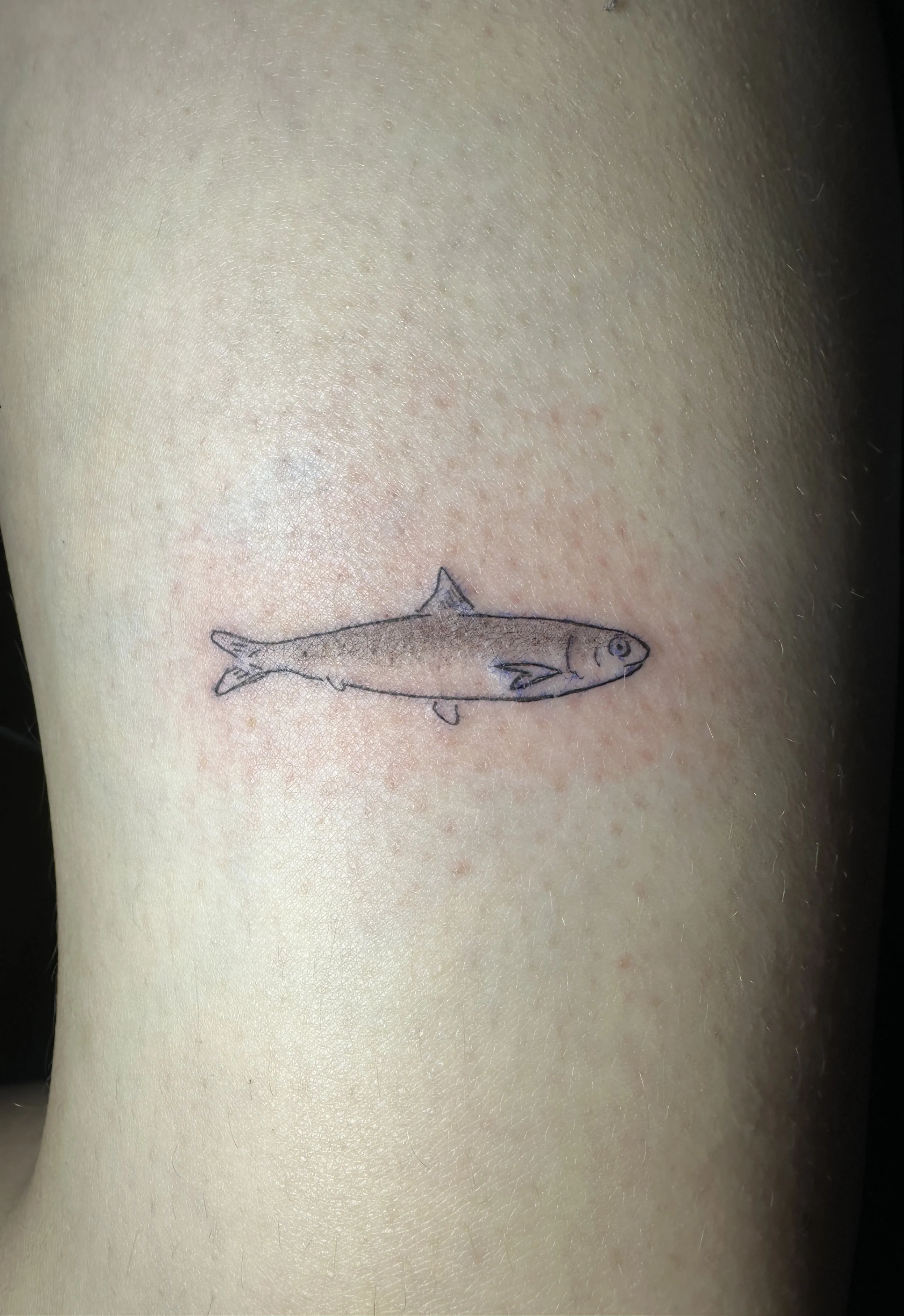 Nahaufnahme eines Tattoos eines Fisches auf menschlicher Haut.