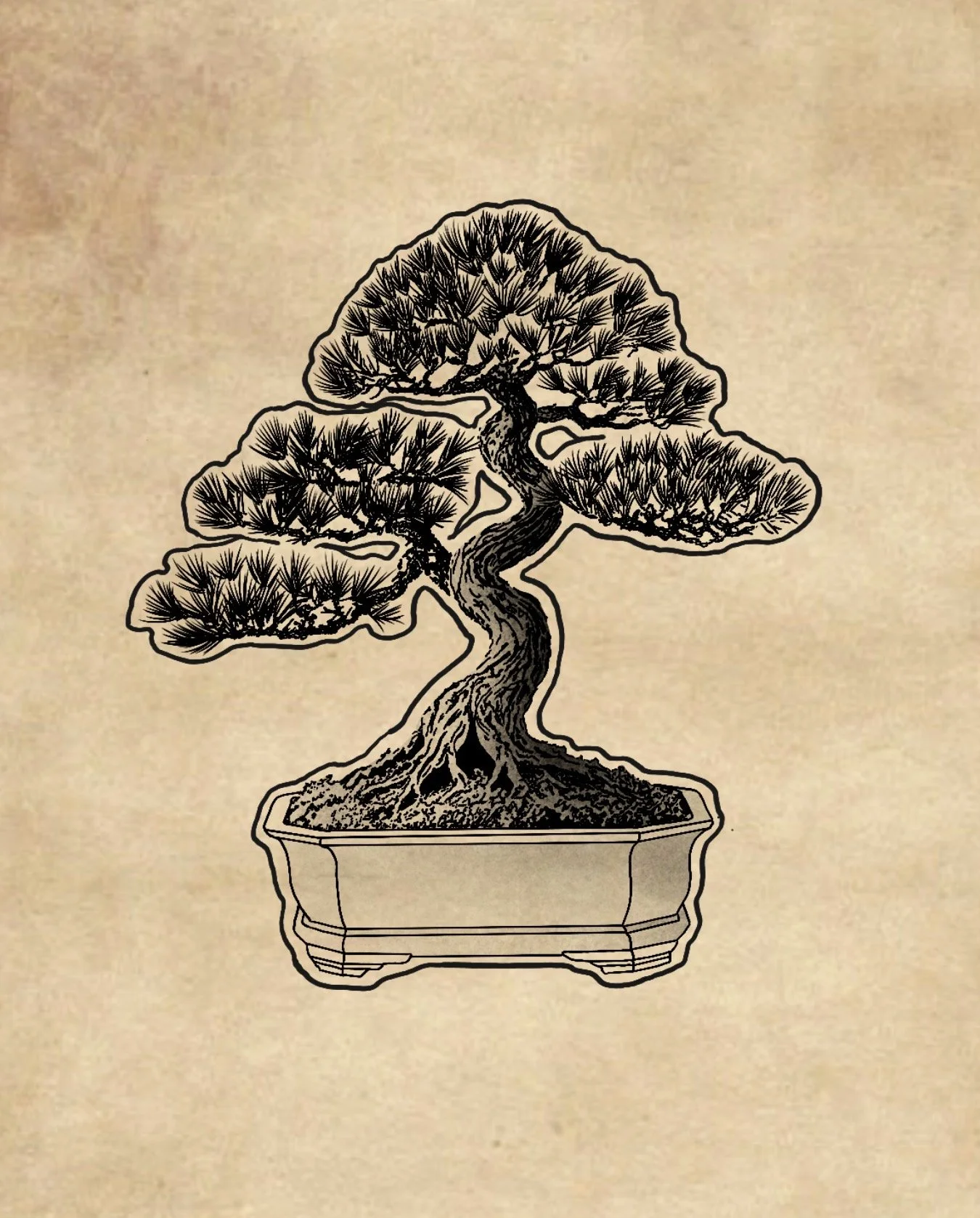 Eine Illustration eines Bonsais in einer rechteckigen Schale, mit einem gewundenen Baumstamm und dichtem Blattwerk im traditionellen asiatischen Stil.